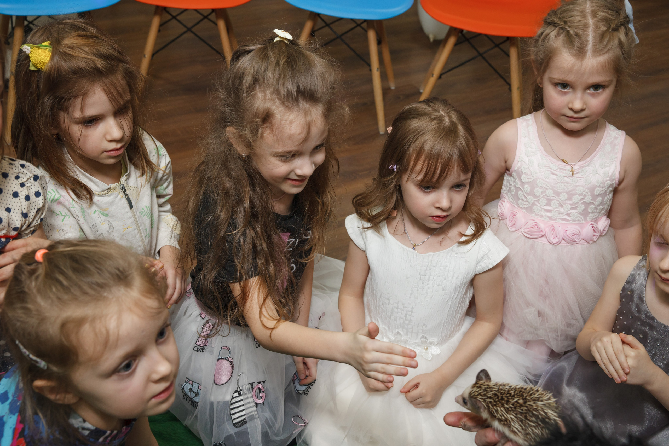 День рождения Егора, 6 лет, «Мультяшка». Свадебный и репортажный фотограф (Москва, Королев и другие)