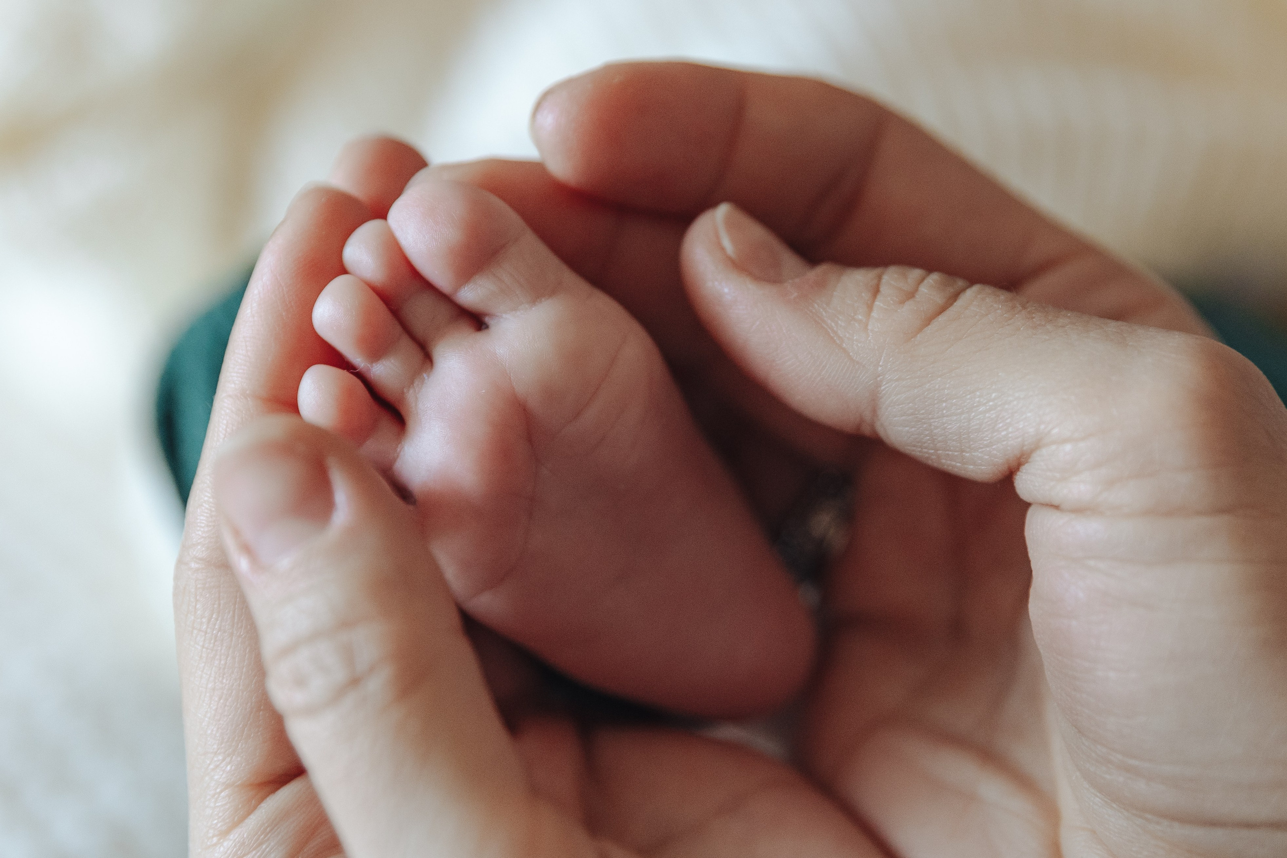 Ефимия, Евгений и Лука. Фотограф в Москве и МО Елизавета Якубенко