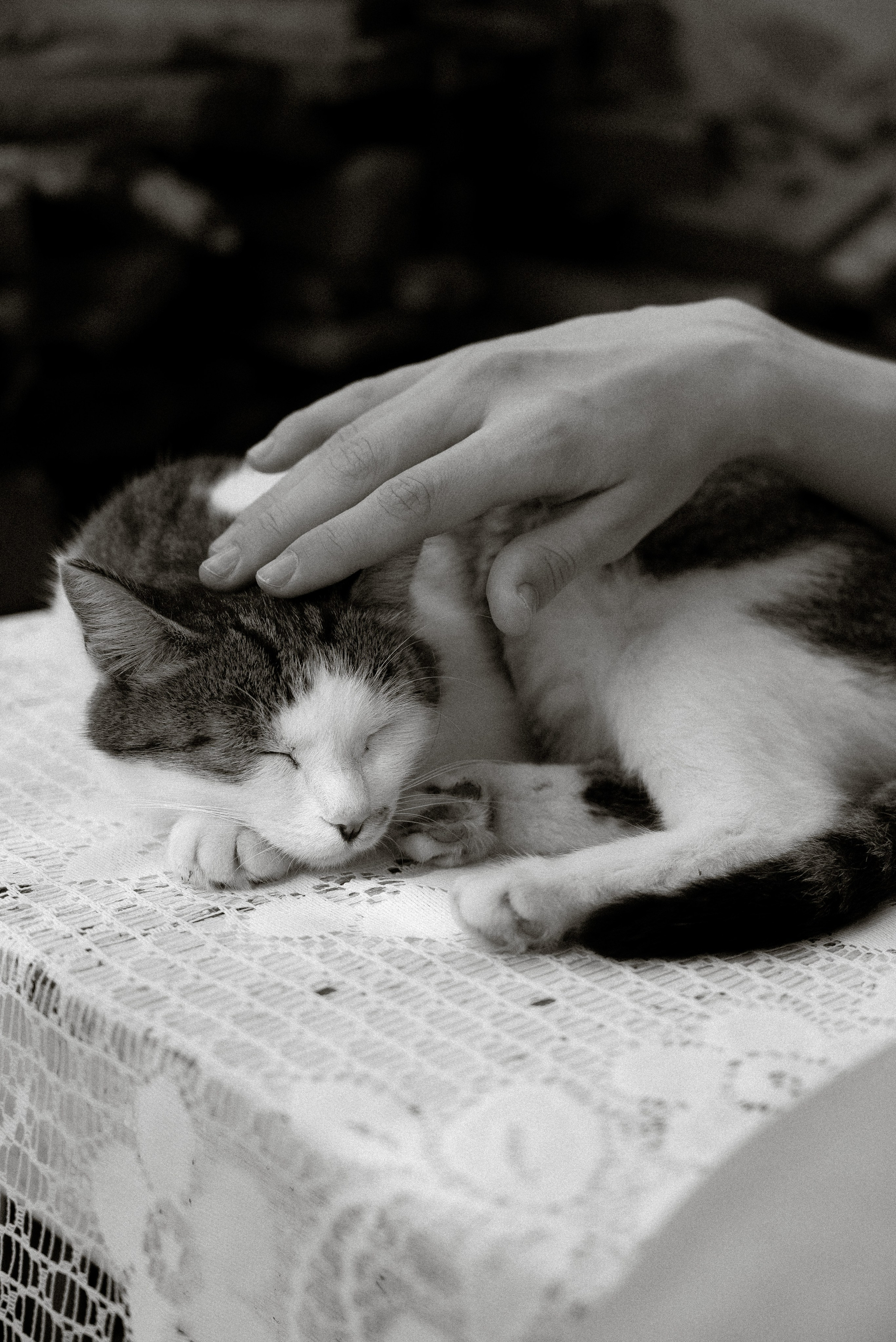 Саша. Тамара Власова