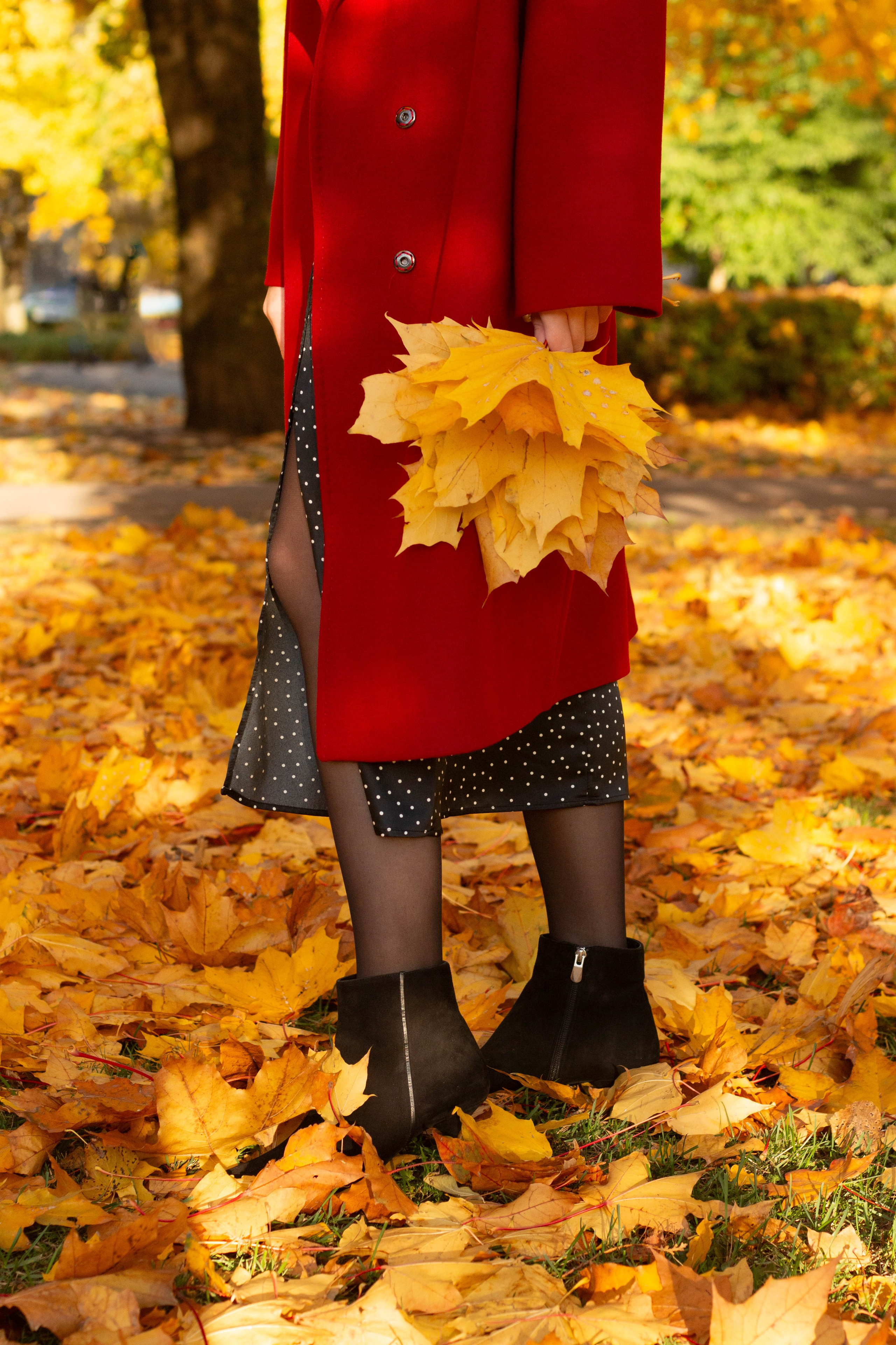 Мария. Осень в Риге. Бережно сохраняю ваши чувства и истории на своих фотографиях