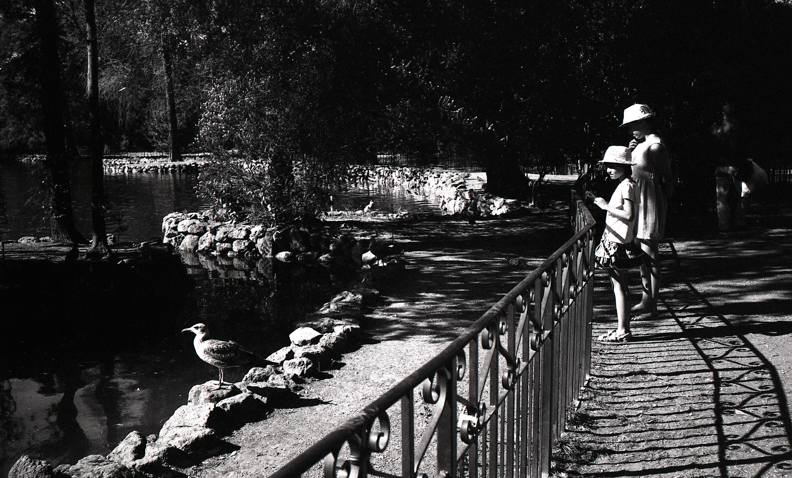 Italy, Rome. Elena Nikitina. Photo Artist. Film photography. Prints