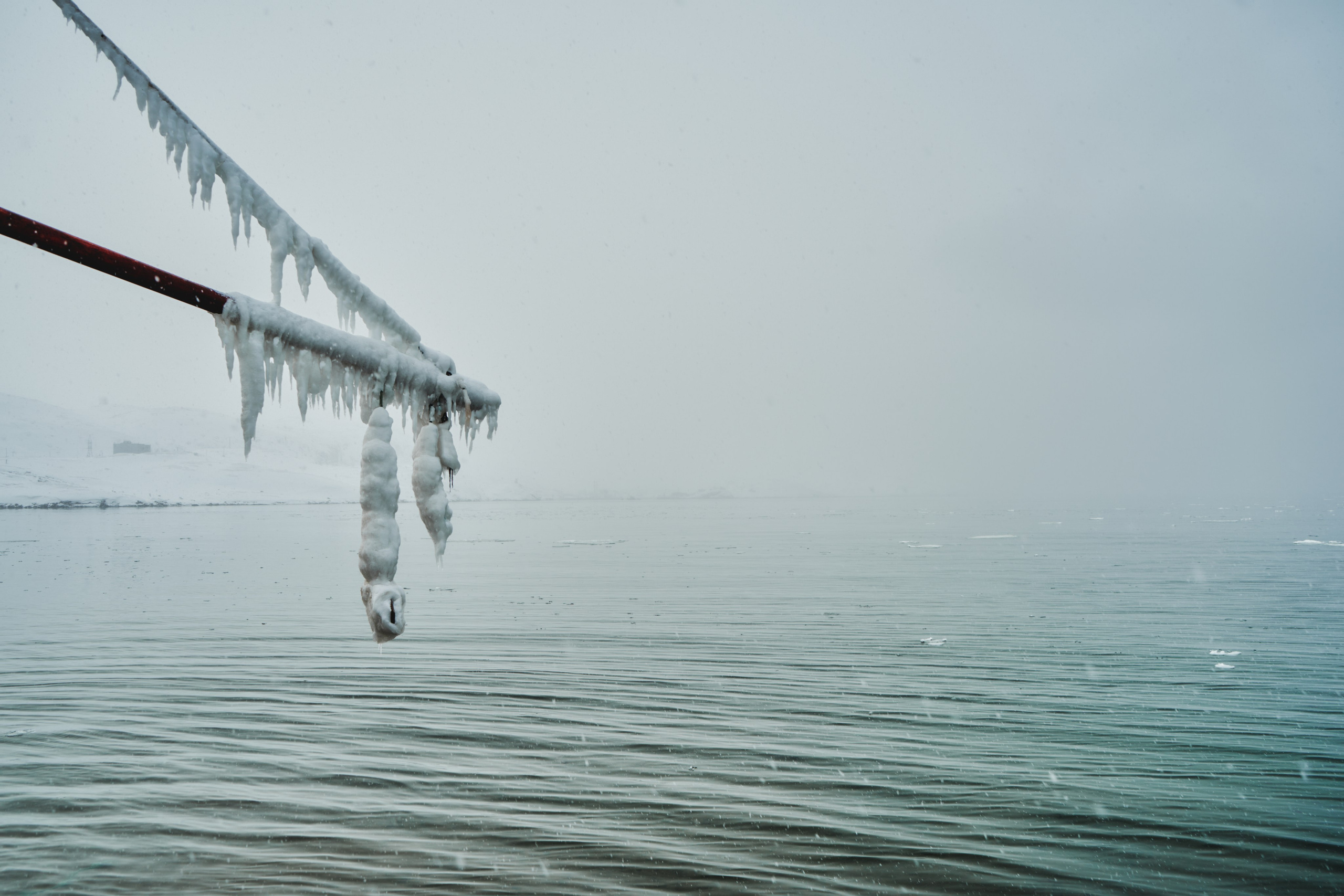 Кучерявая || Фотограф || Самара·Питер·Москва