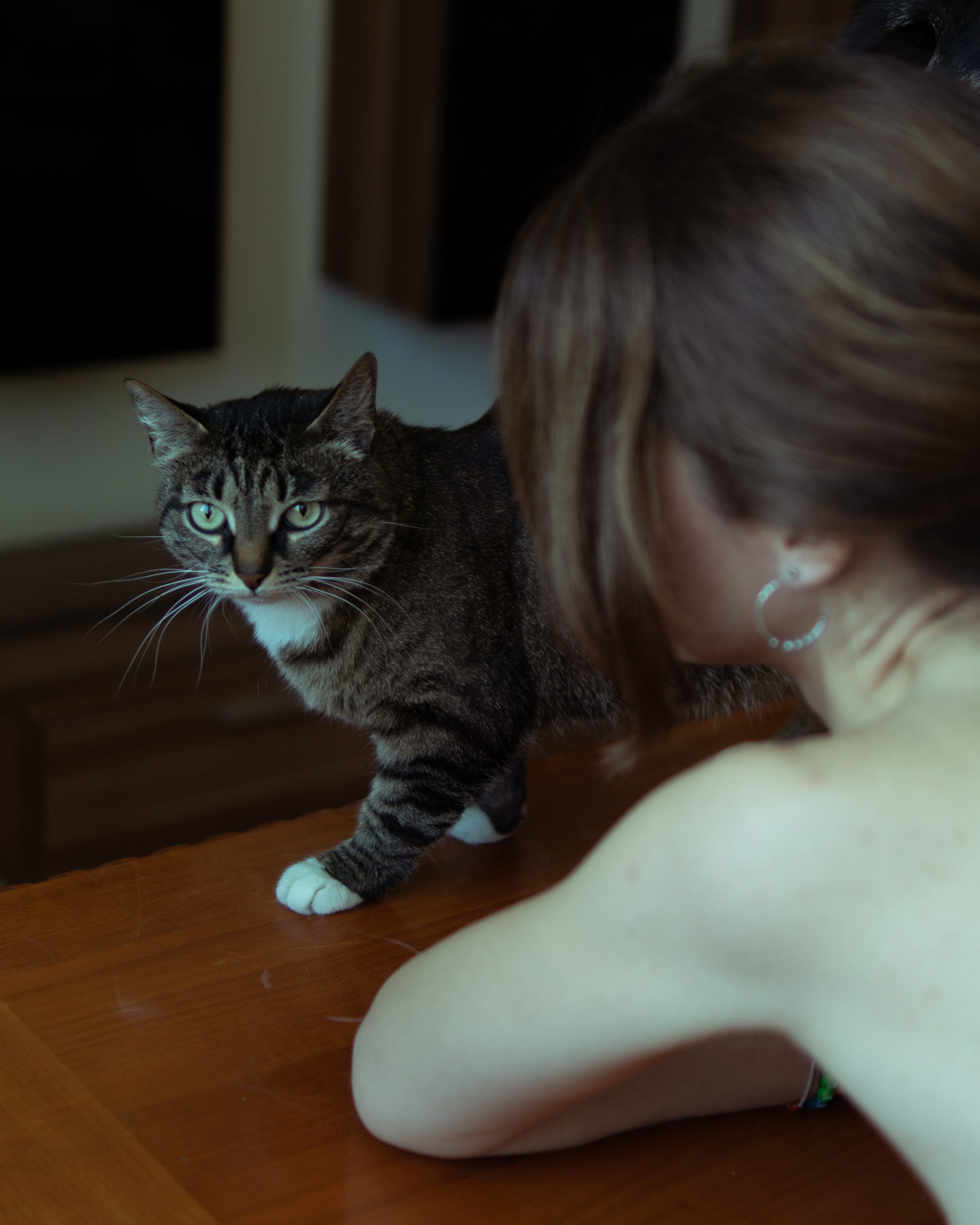 Свет и Только. Фотограф Париж / Photographer Paris