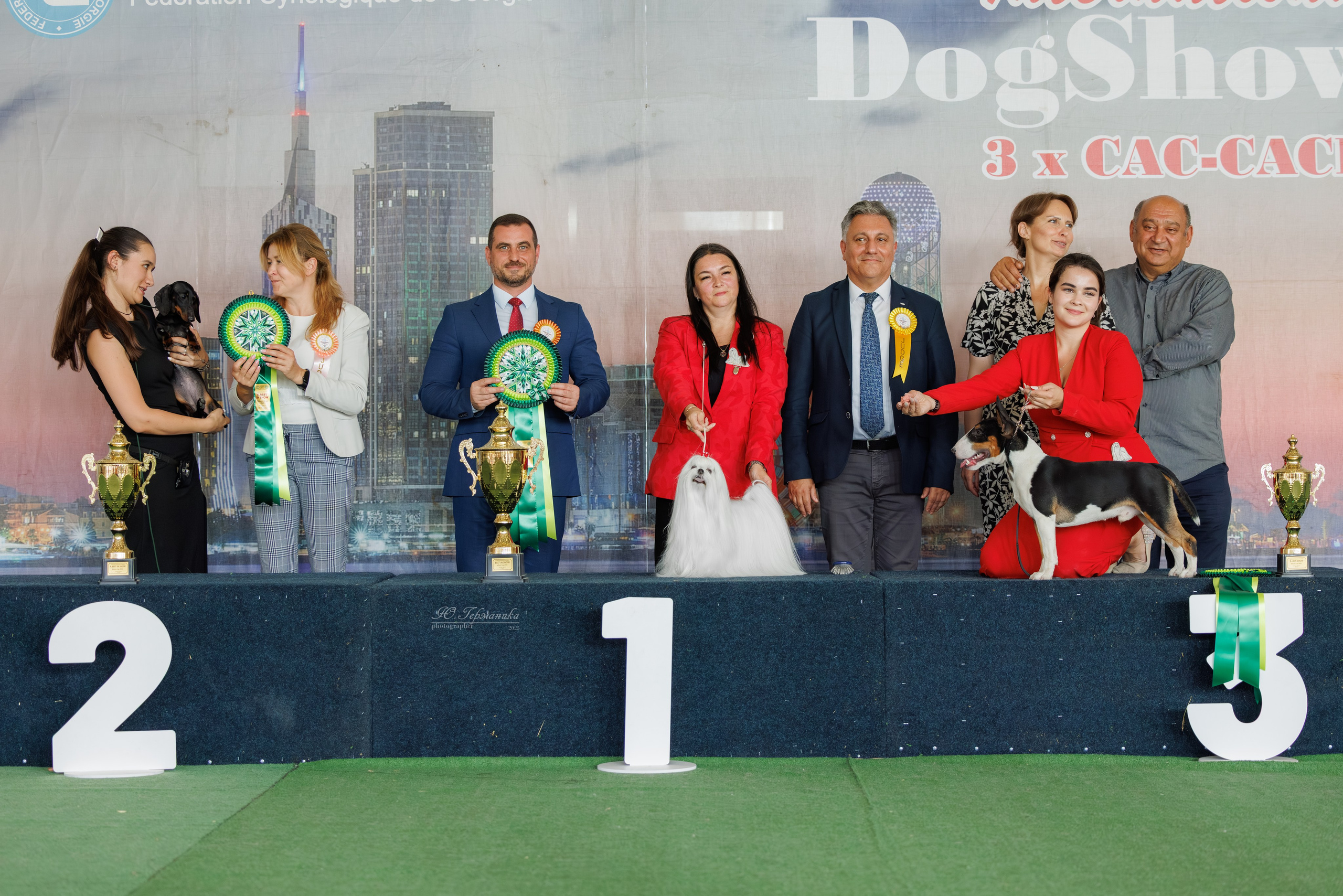 Батуми 3хCACIB 27-29.06.2025. Фотограф-анималист Юлия Германика