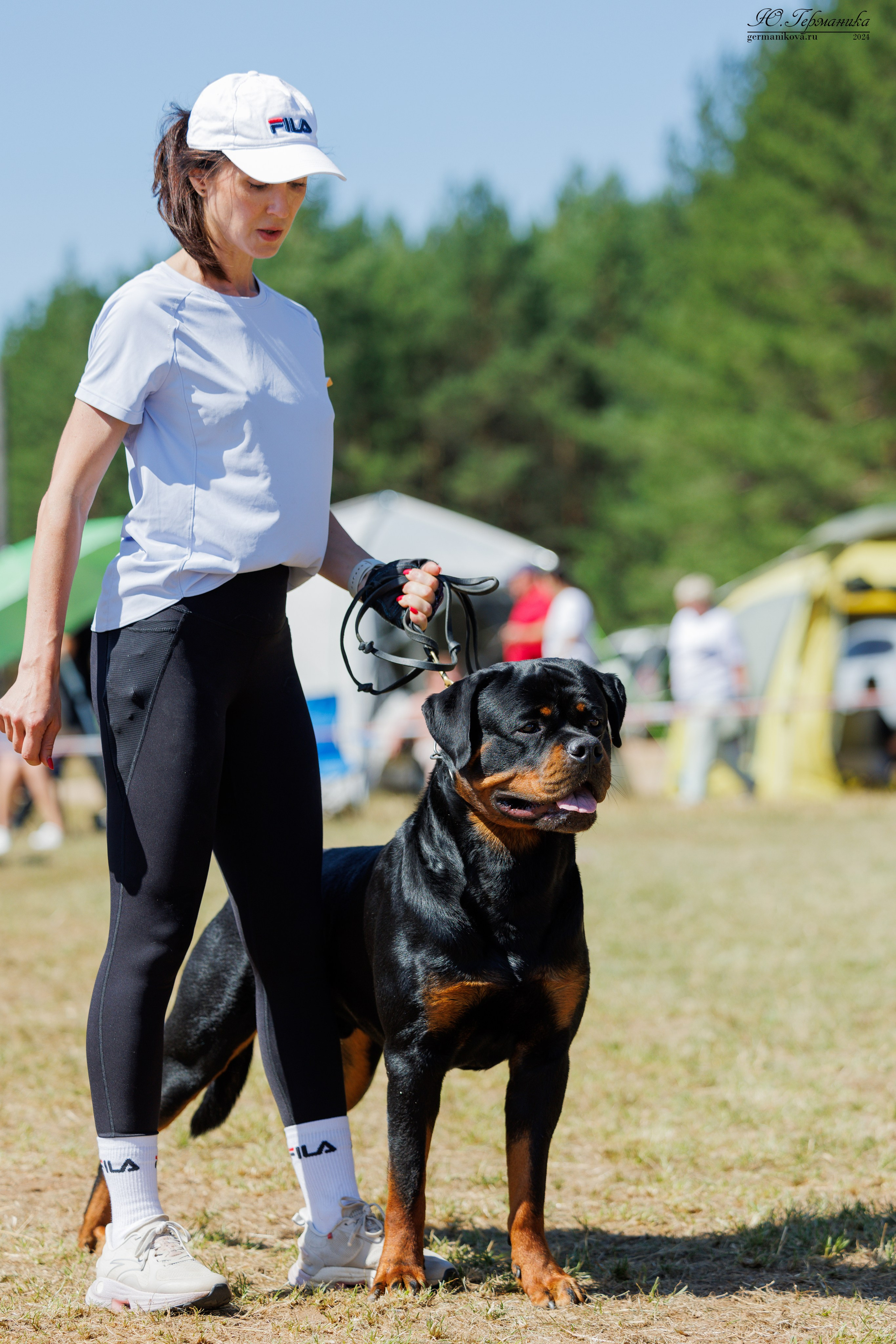 ПК и КЧК ротвейлеры Тверь 6-7.07.2024. Фотограф-анималист Юлия Германика