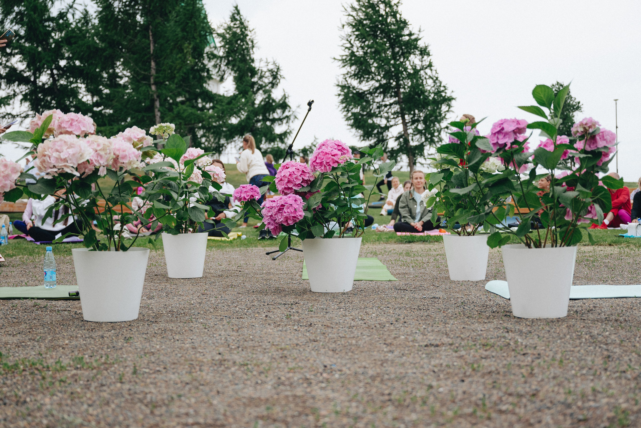 108 приветствий солнцу. Екатерина Курбанова. Женский фотограф