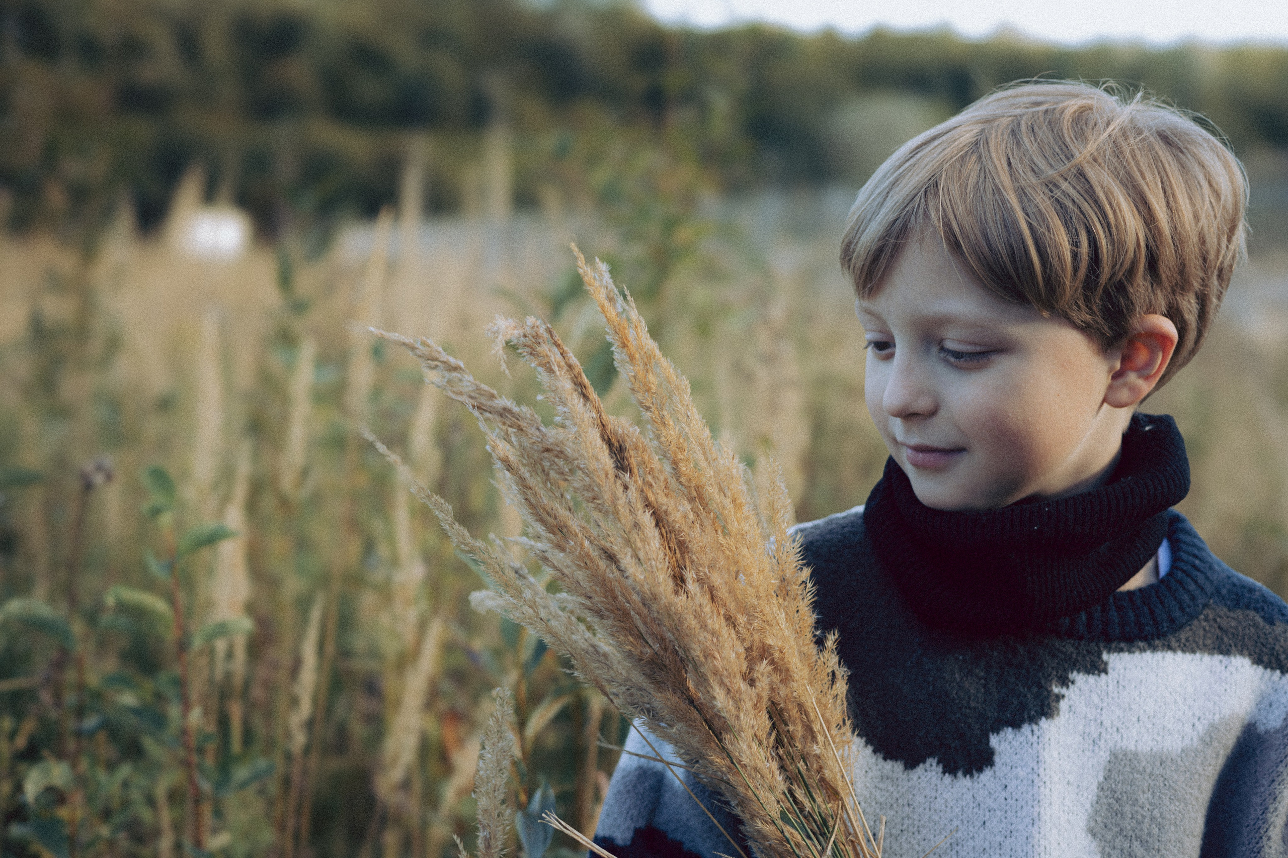 В начале осени…