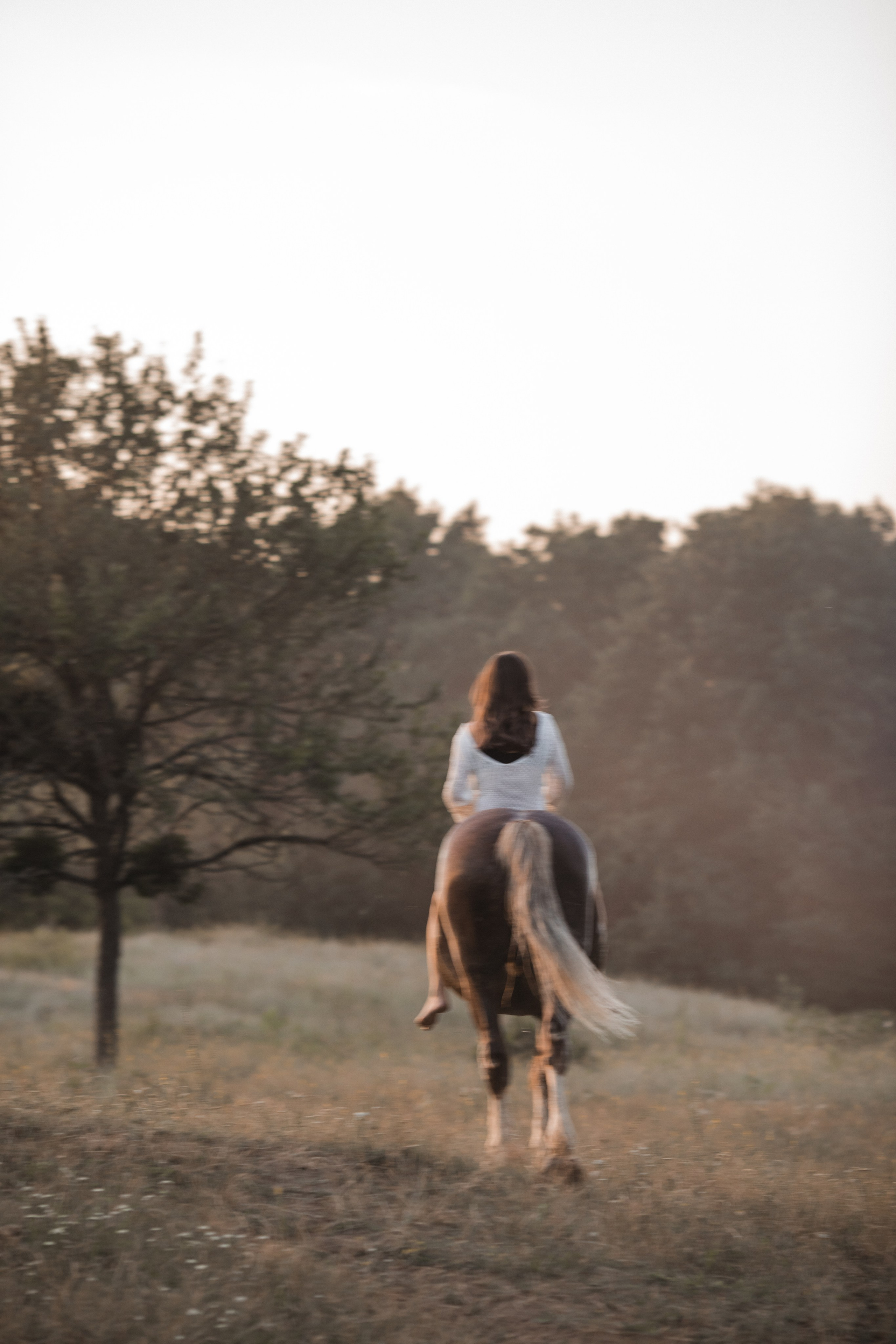 Аля. Свадебный и семейный фотограф в Краснодаре
