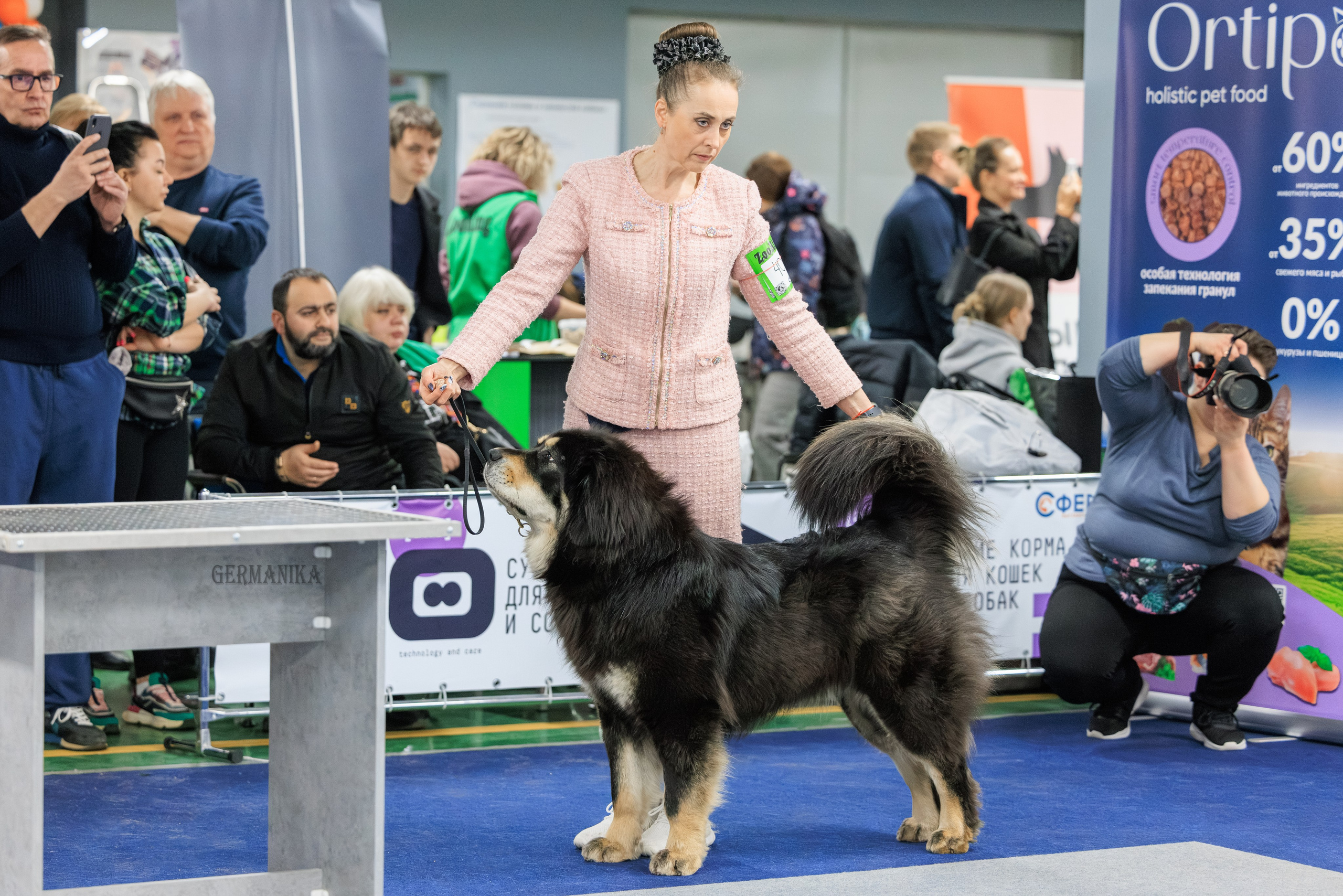 Сфера 08 и 10.03.2024 2хмоно ротвейлеров+2хмоно сао. Фотограф-анималист Юлия Германика