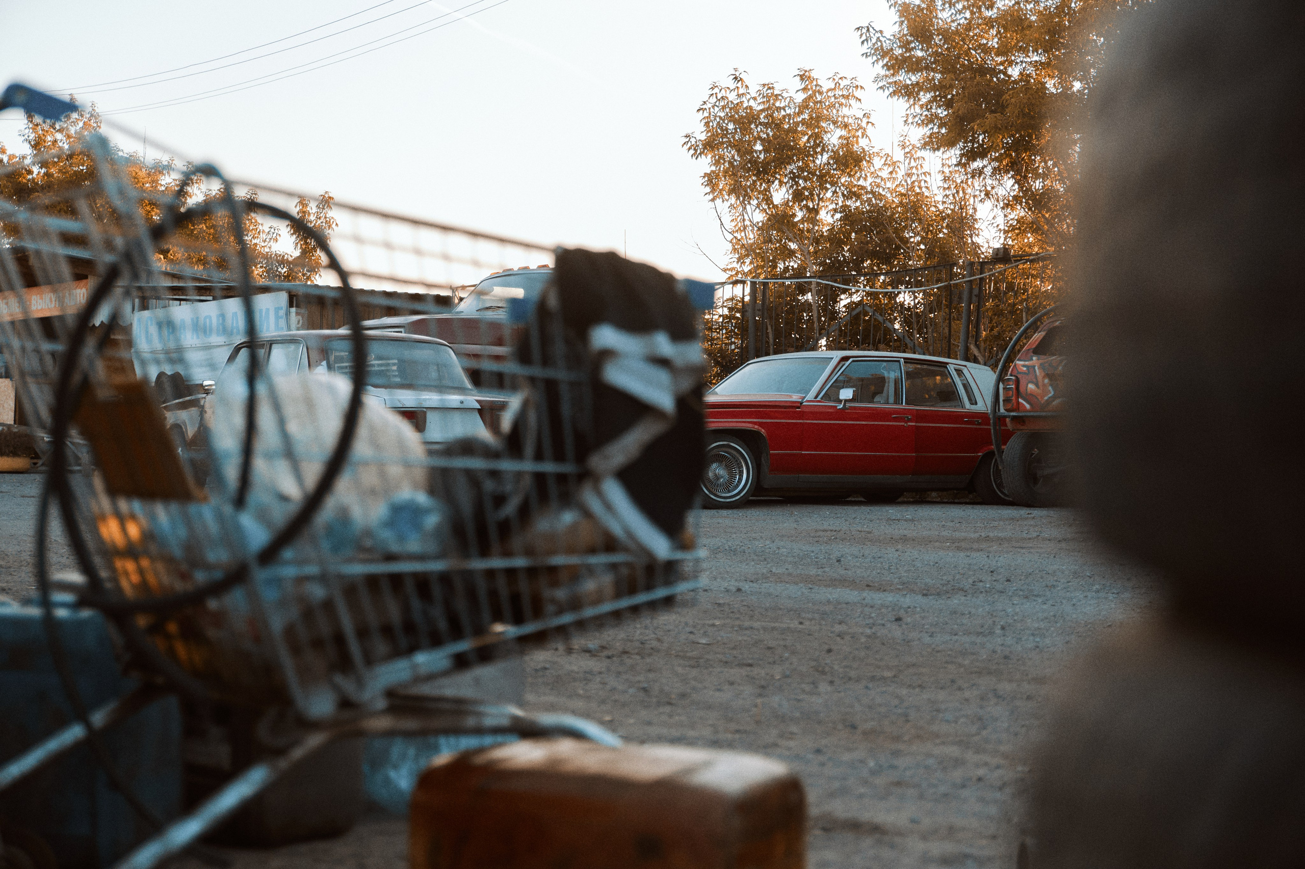 Шоу Каскадёров. Фотограф и видеограф в Кургане Леонид Корнильев
