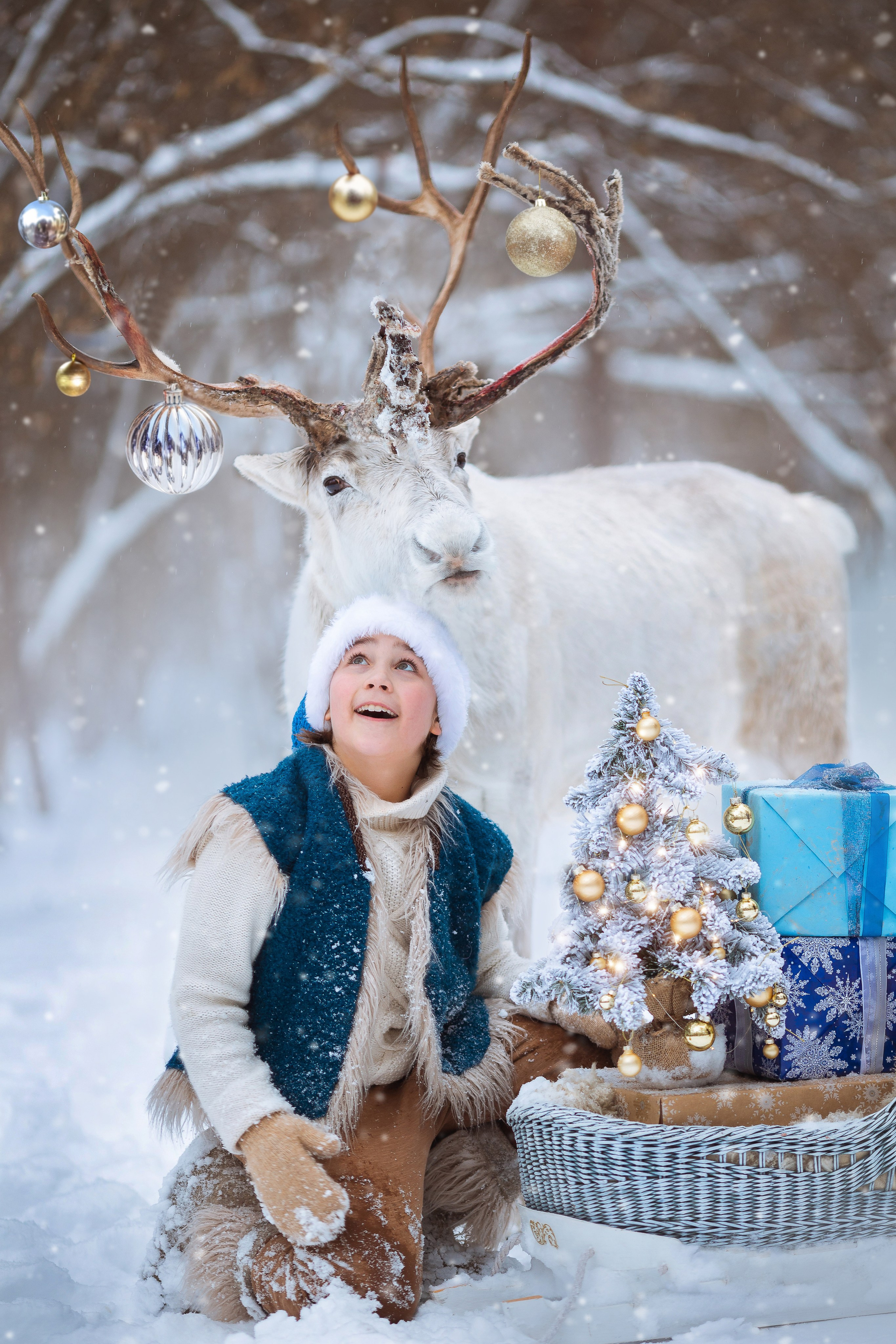 Фотосессия с оленями, Фотосессия с животными