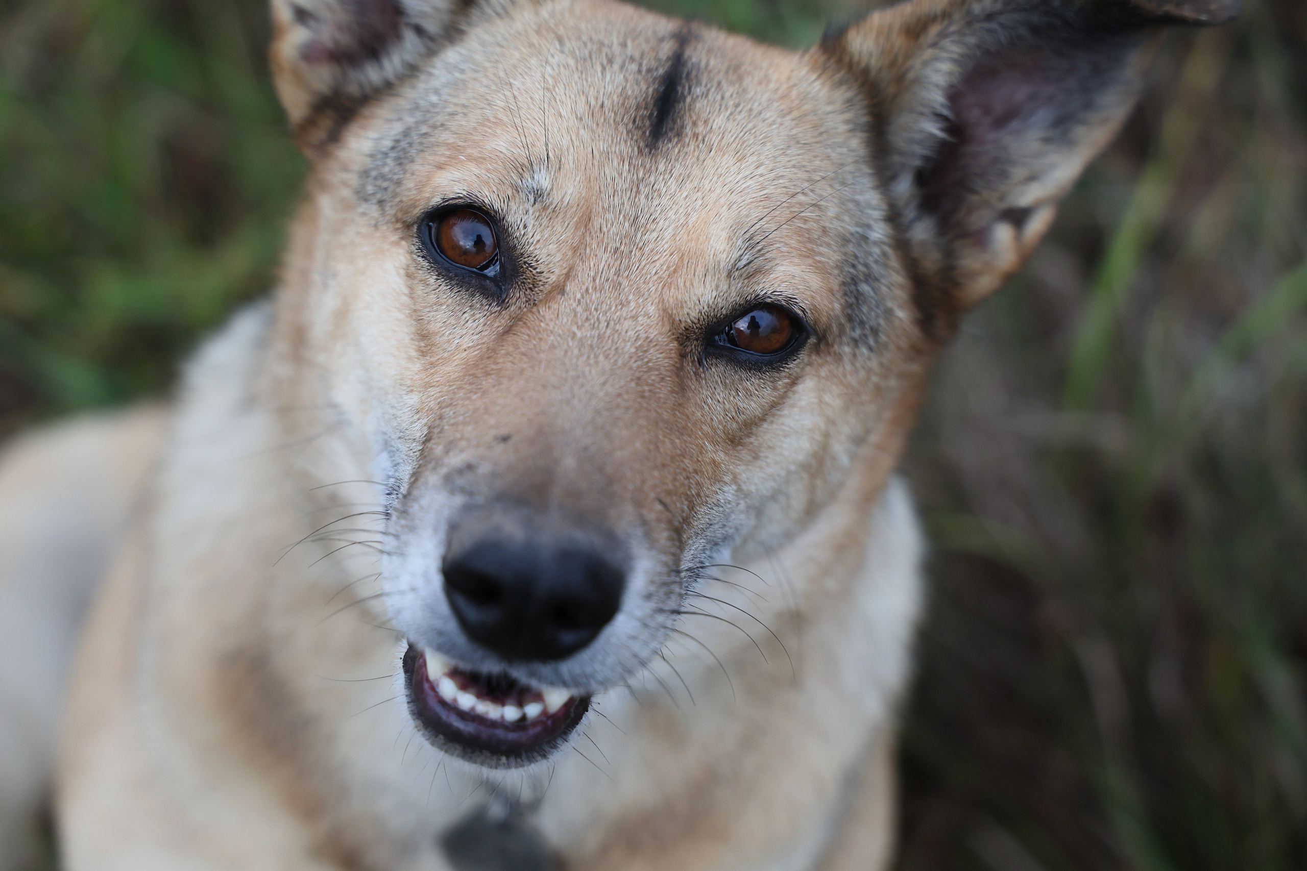Фотограф Максим Татаринов