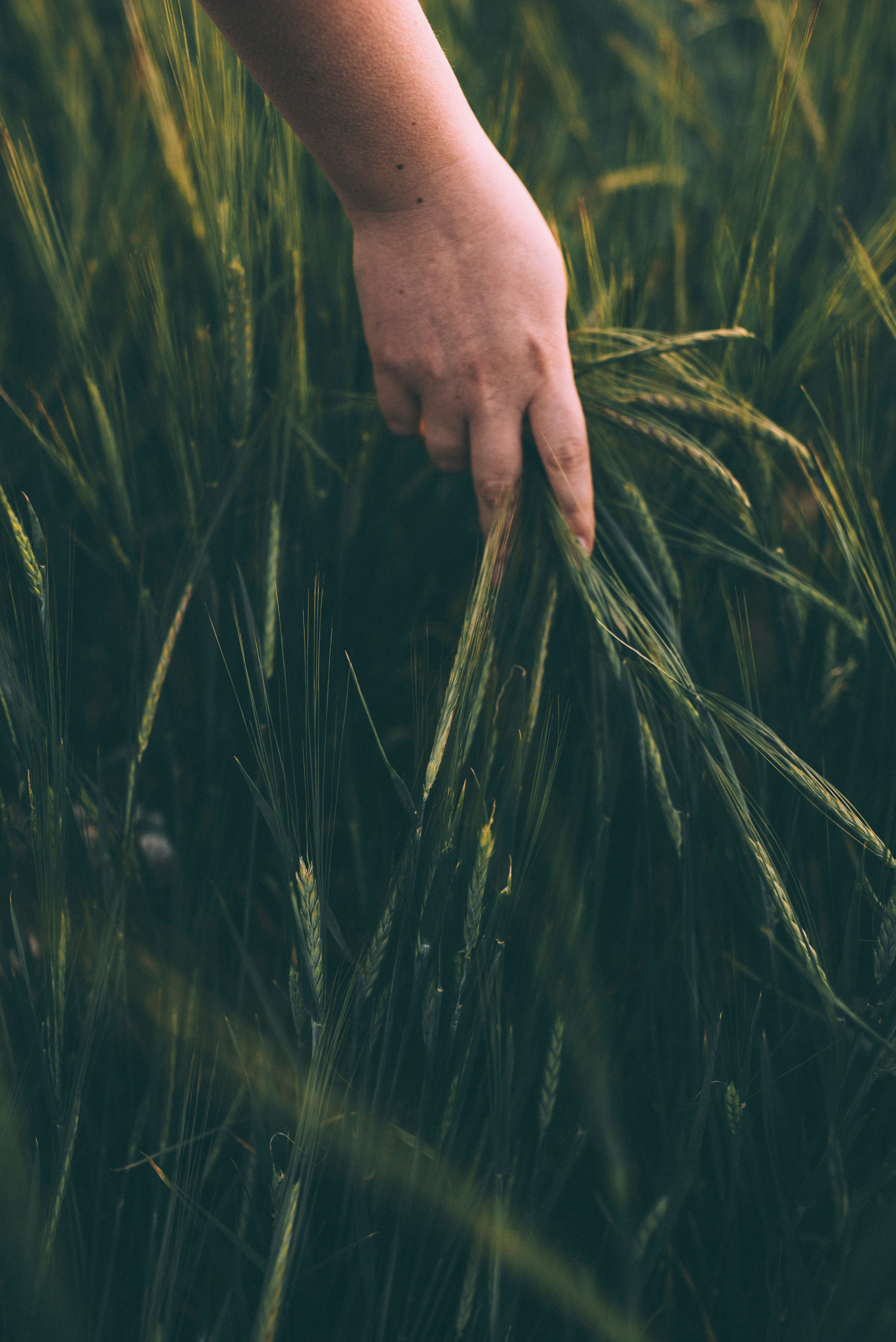 Лилия. Семейный и newborn фотограф в Уфе Елена Сакурова