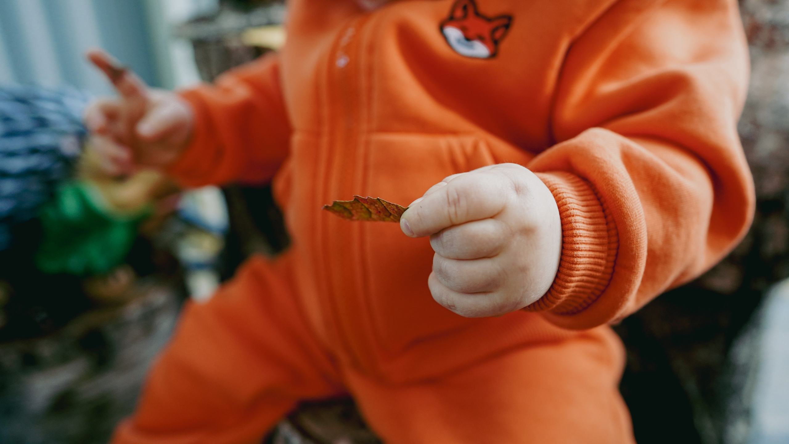 Роберту 1 год. Семейный и детский фотограф в Москве (Тинао) Галкина Алевтина