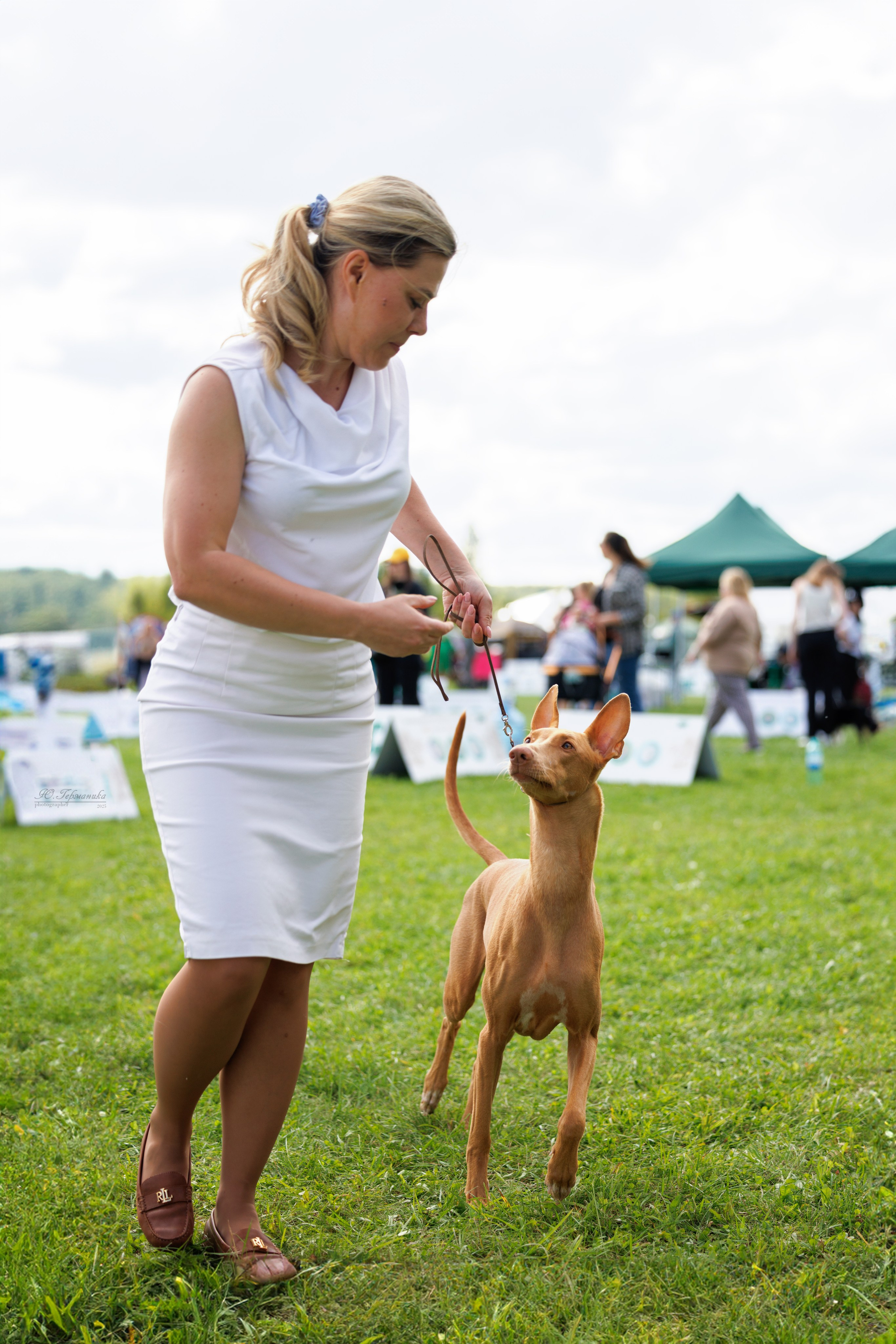 Переславль 5-7.08.2025. Фотограф-анималист Юлия Германика