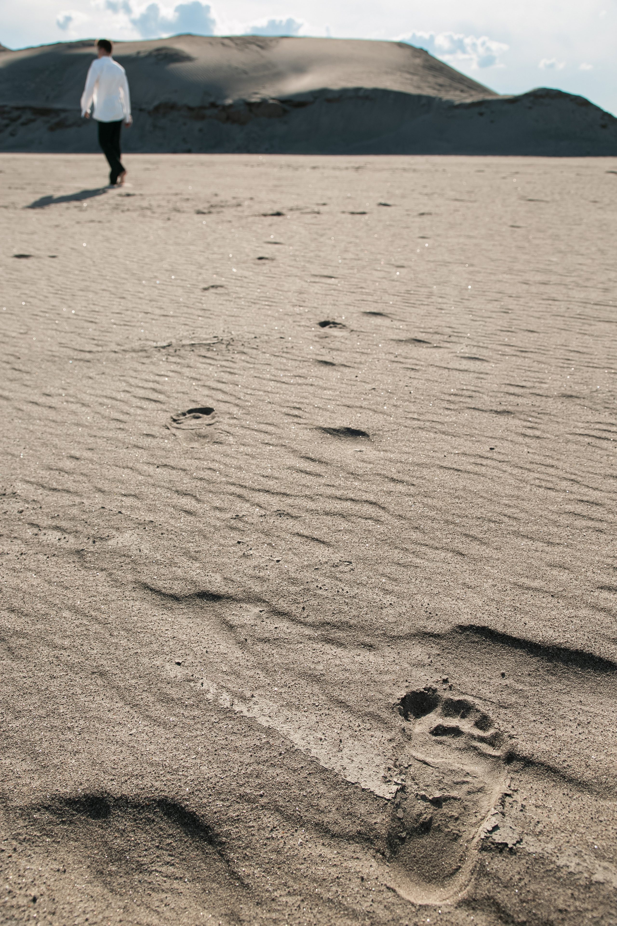 Desert. Фотограф Иван Гуляев