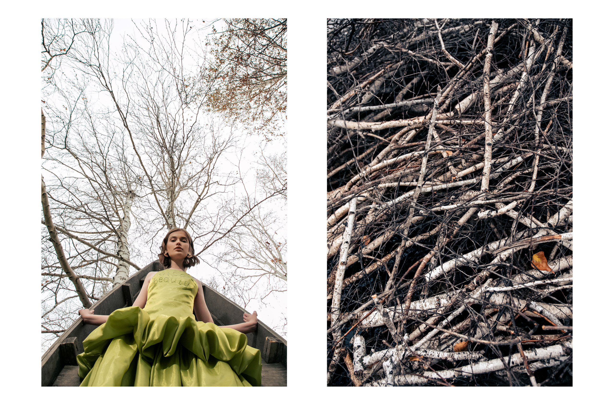 Swamp. Фотограф Иван Гуляев