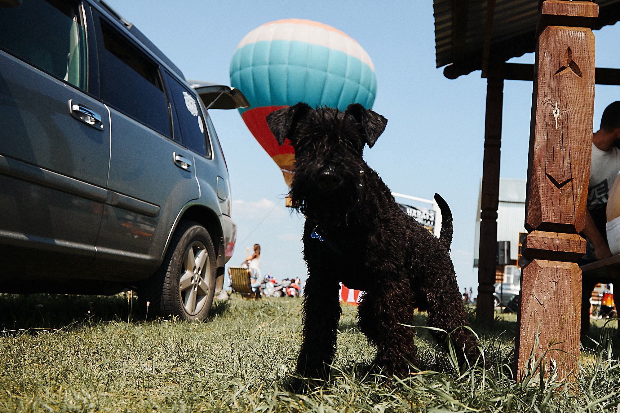 Фестиваль «НЕБО». Фотограф Иван Гуляев