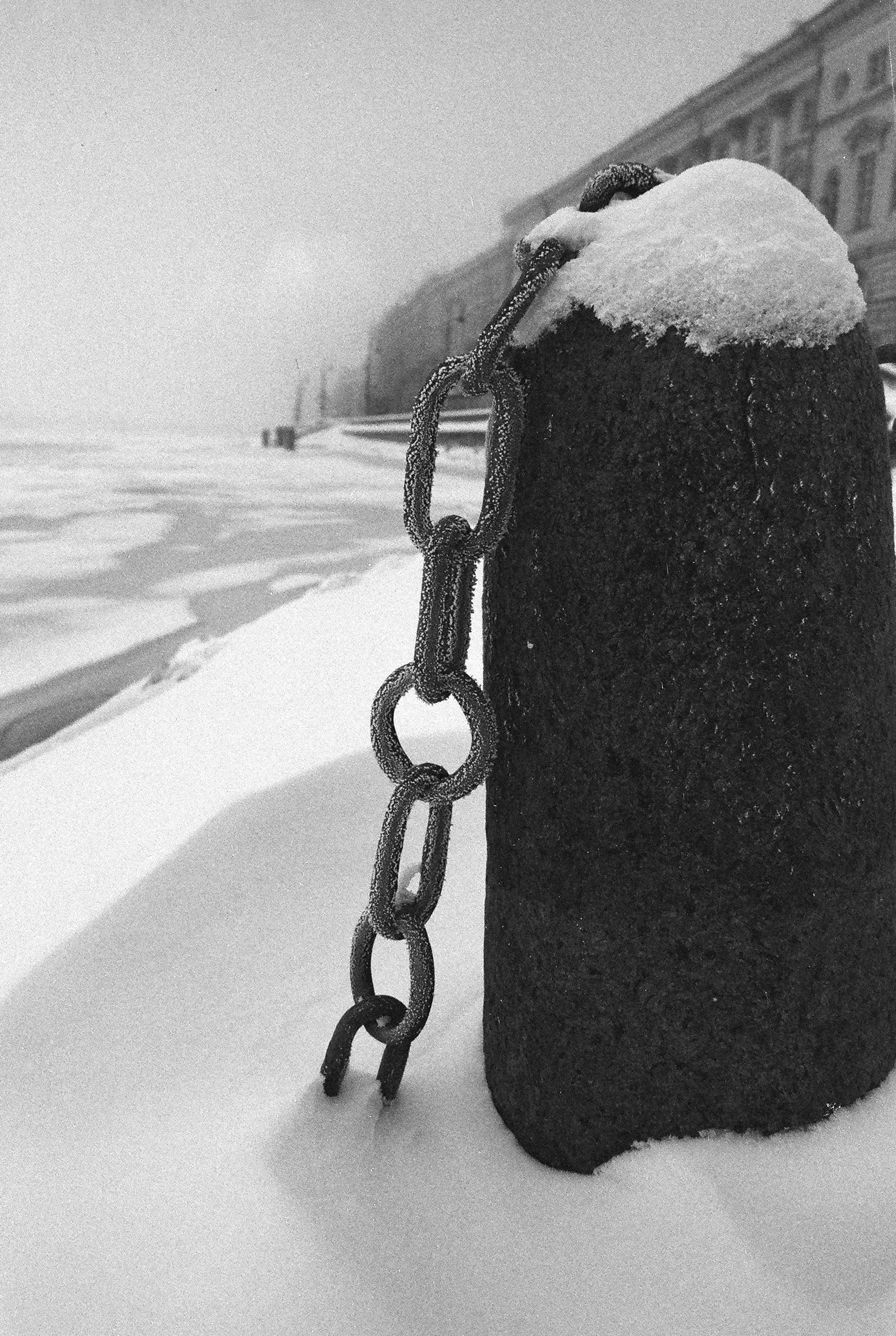 Фотографии черно-белые. Свадебный и семейный пленочный фотограф в Петербурге Истомина Ирина