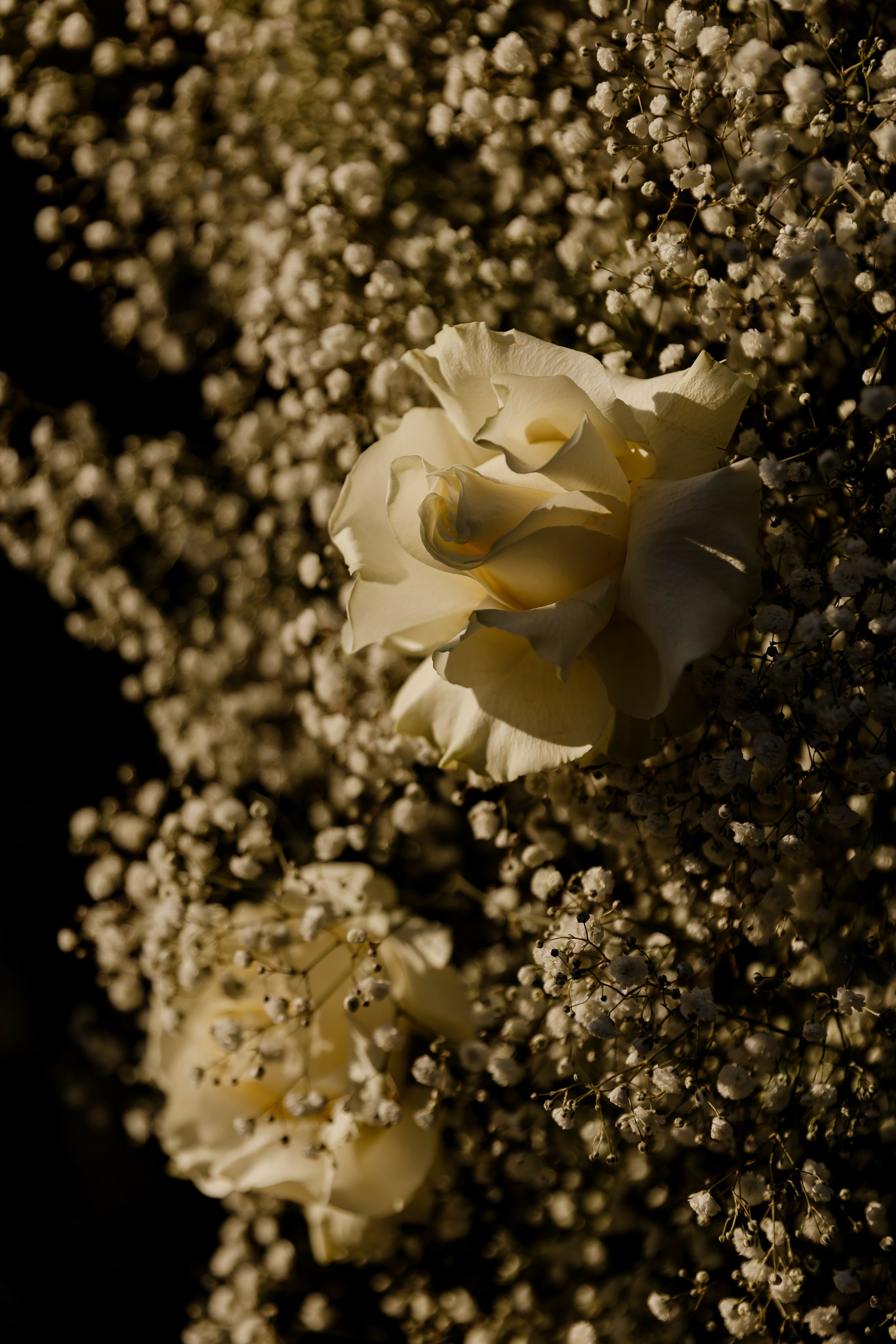 Кирилл и Даша. Dima Lemeshevsky