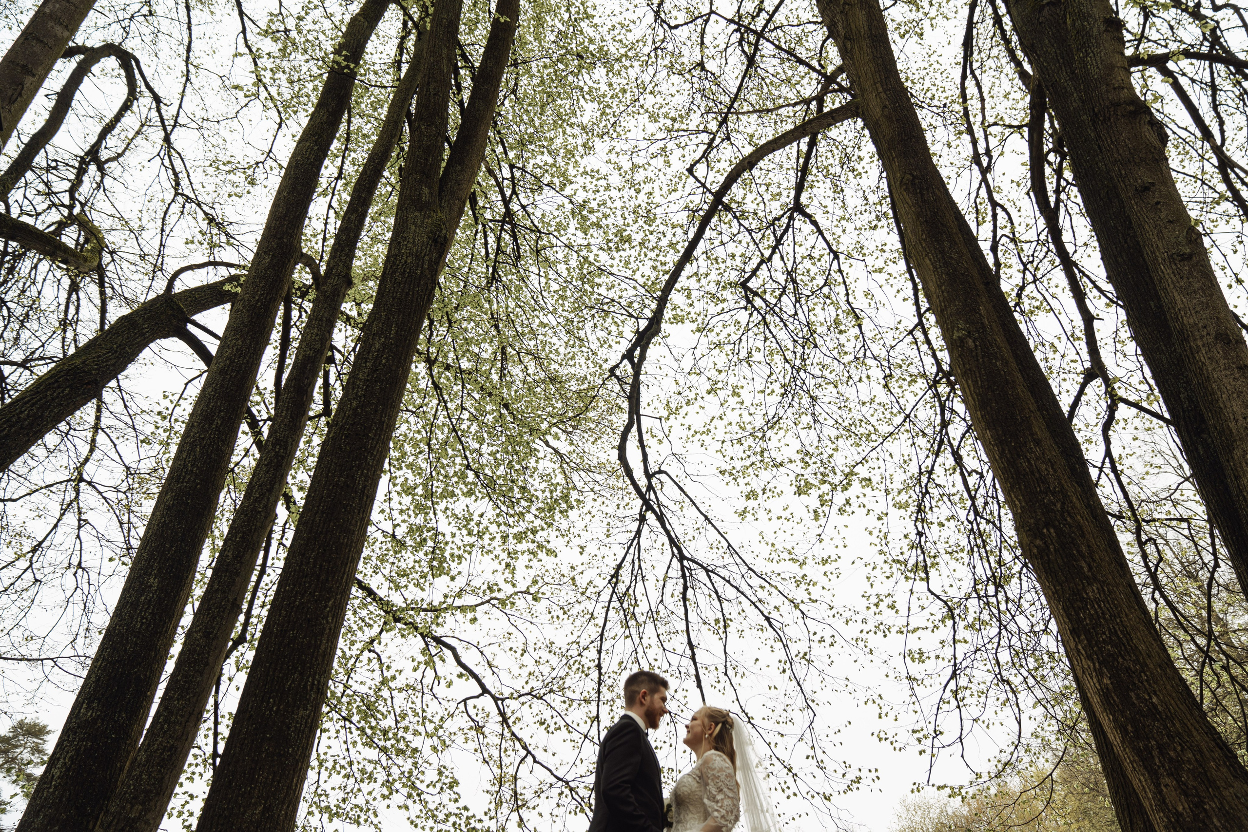 Арина и Данила. Свадебный фотограф в Москве Сафонова Анна