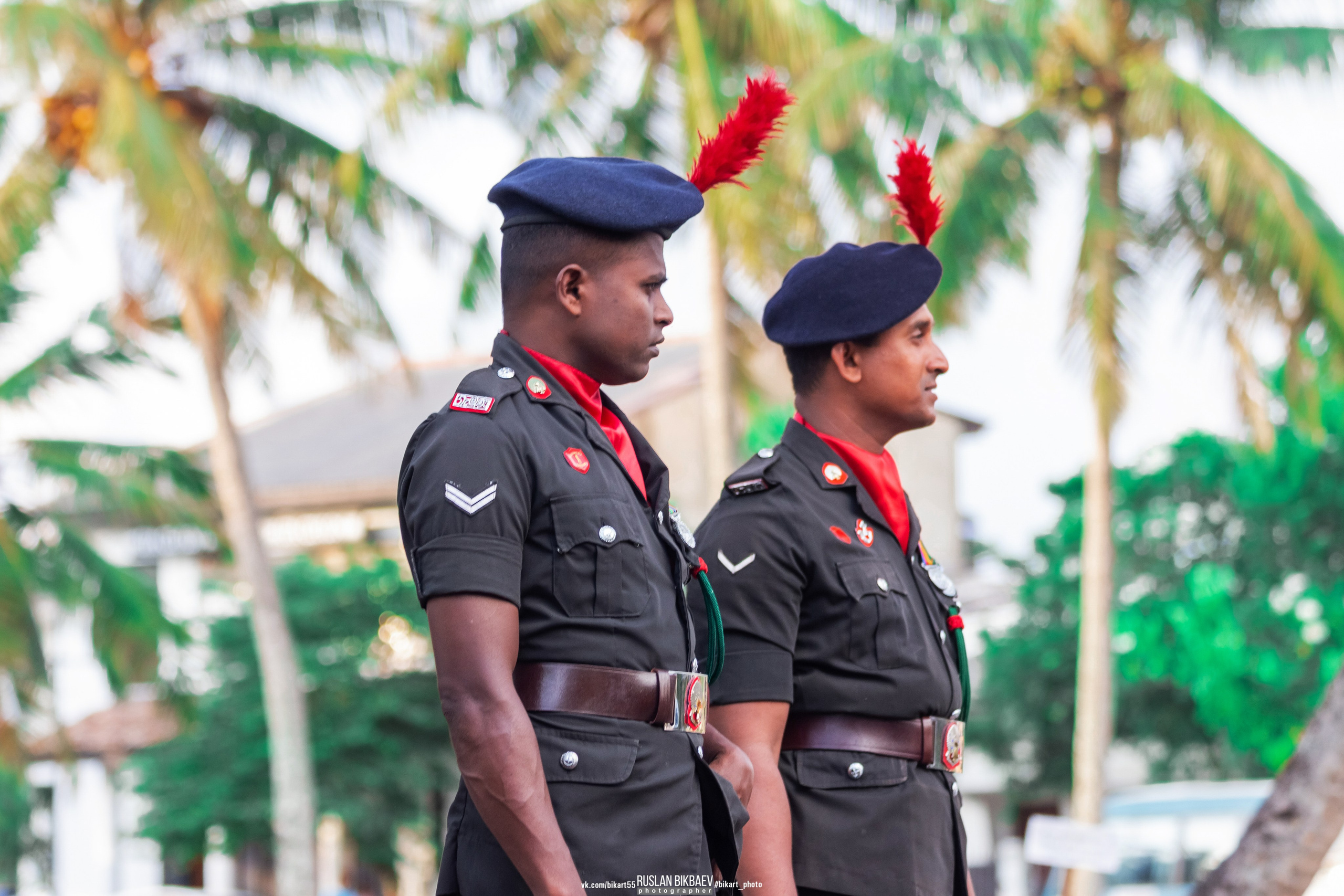 ШРИ-ЛАНКА 2025 / SRI LANKA 2025. Главная