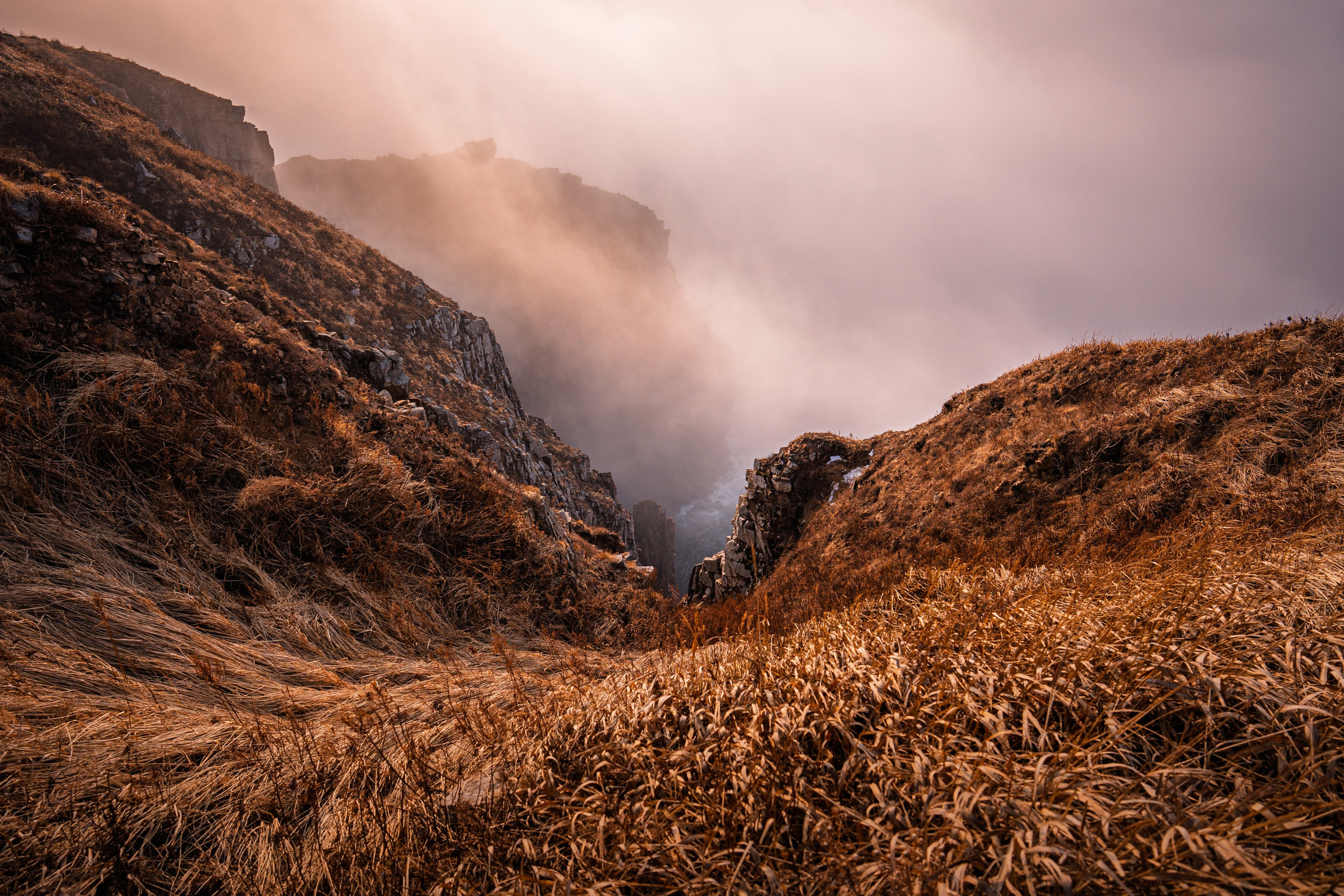 Остров Шкота. Ivan Zaitsev (IZIART) — creating a cultural code through photo and video