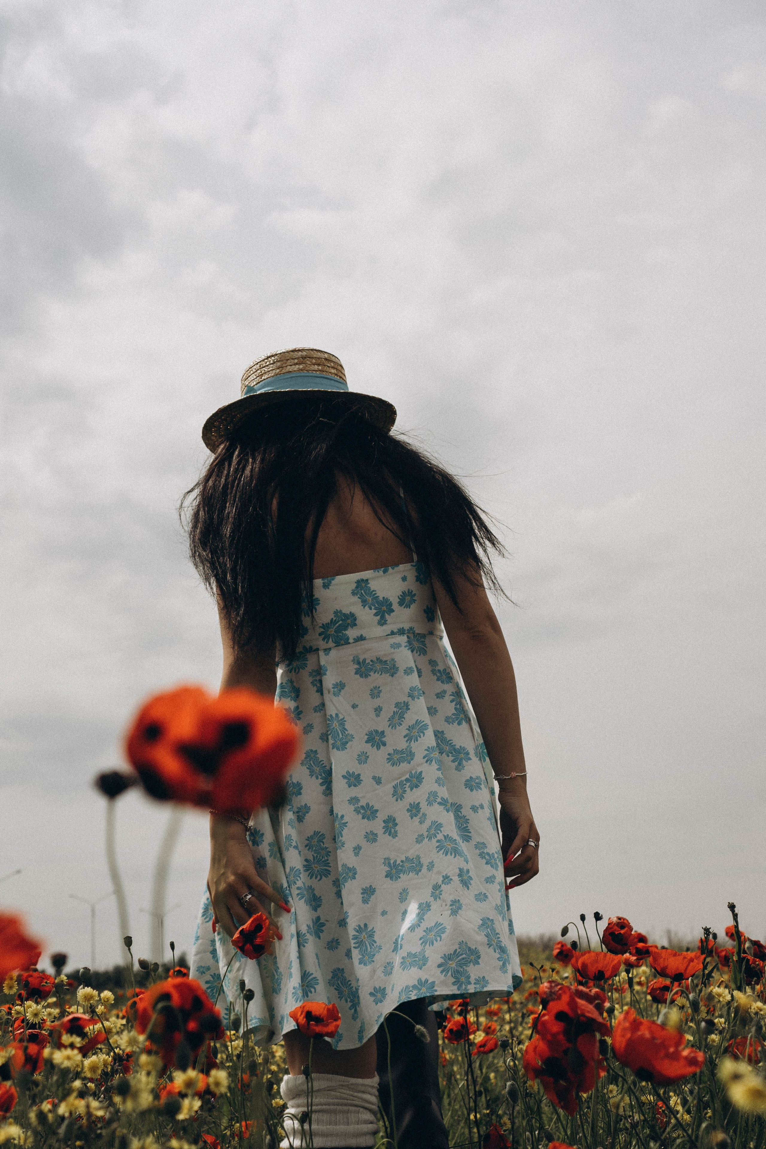 Цветочная поляна. Профессиональный фотограф, Санкт-Петербург — Виктория Богомолова