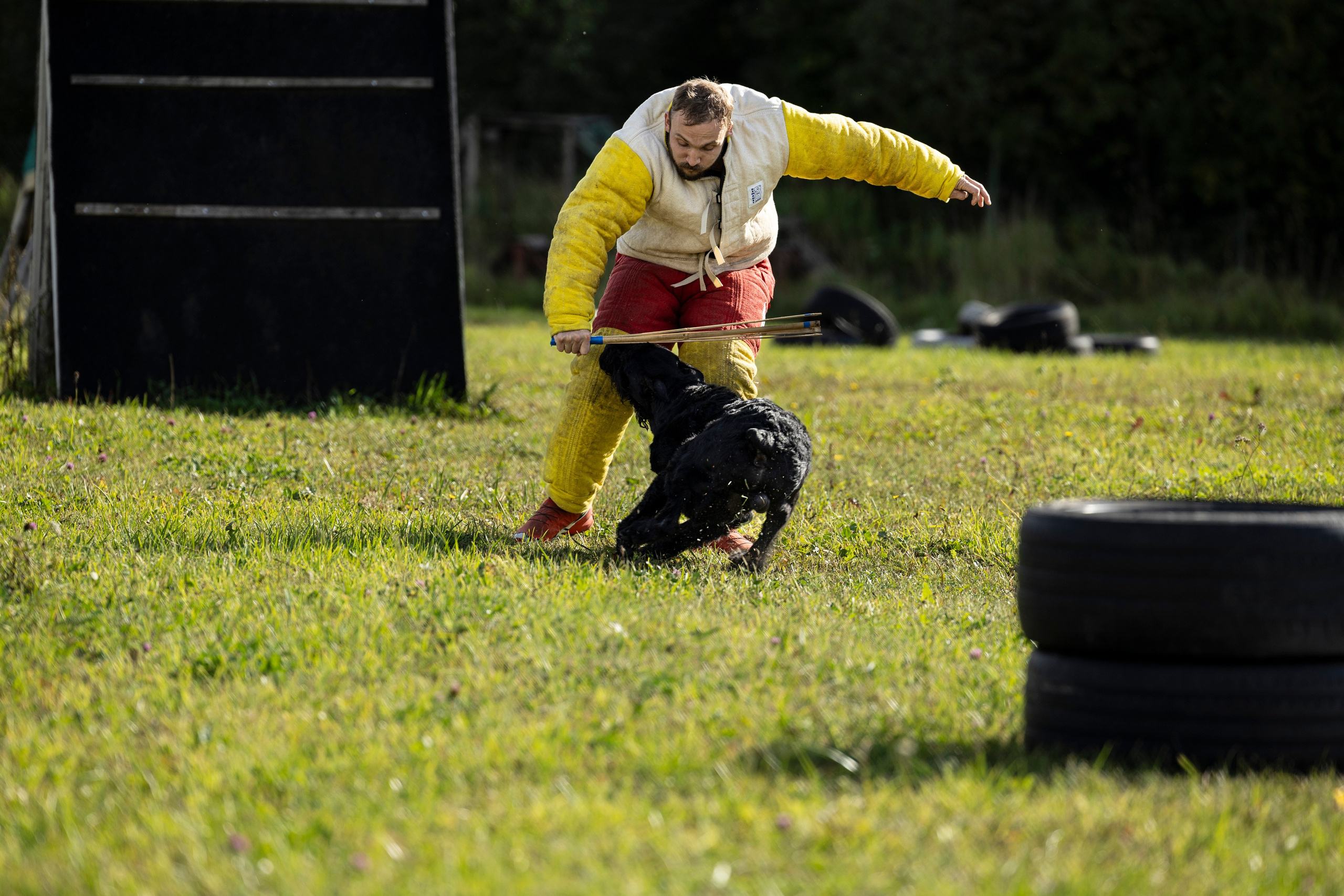 Испытания по Мондьорингу г. Пушкин. Фотограф-анималист Анна Маринич