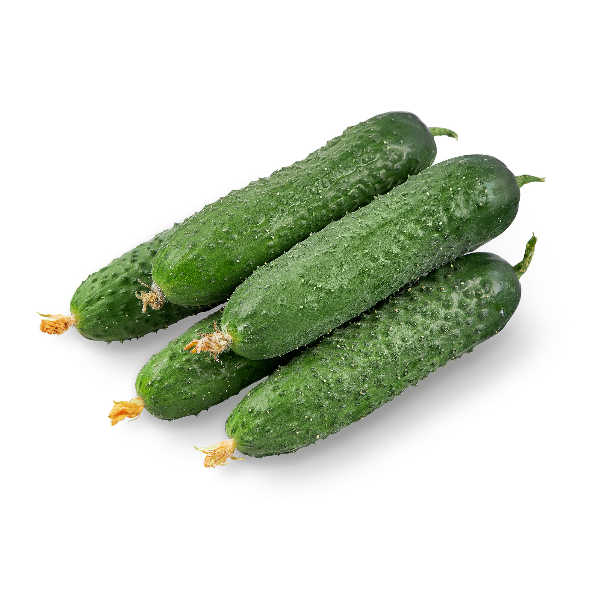 — продукты питания (food)