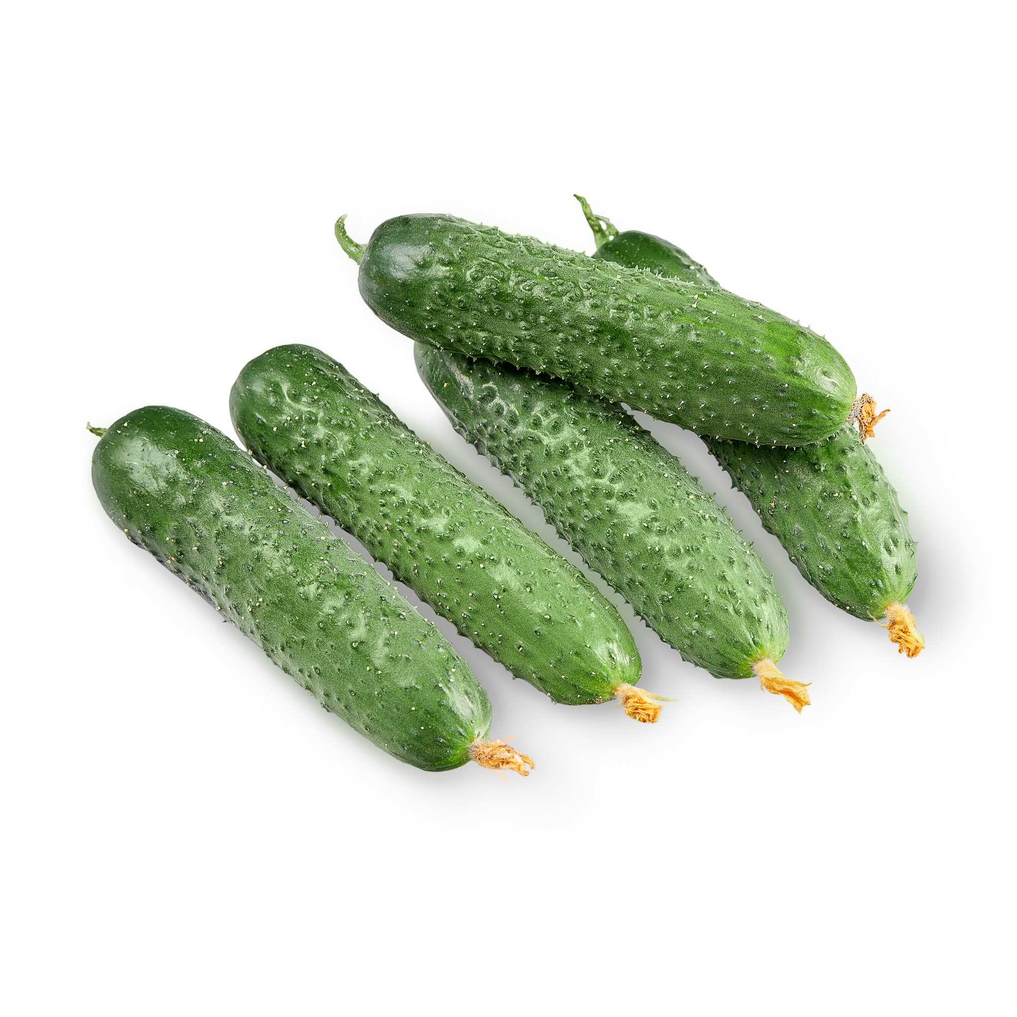 — продукты питания (food)