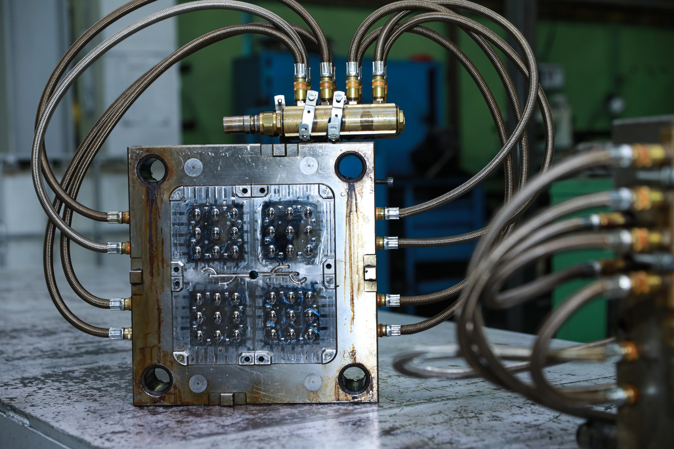 Фотограф в Москве Татьяна Кузнецова