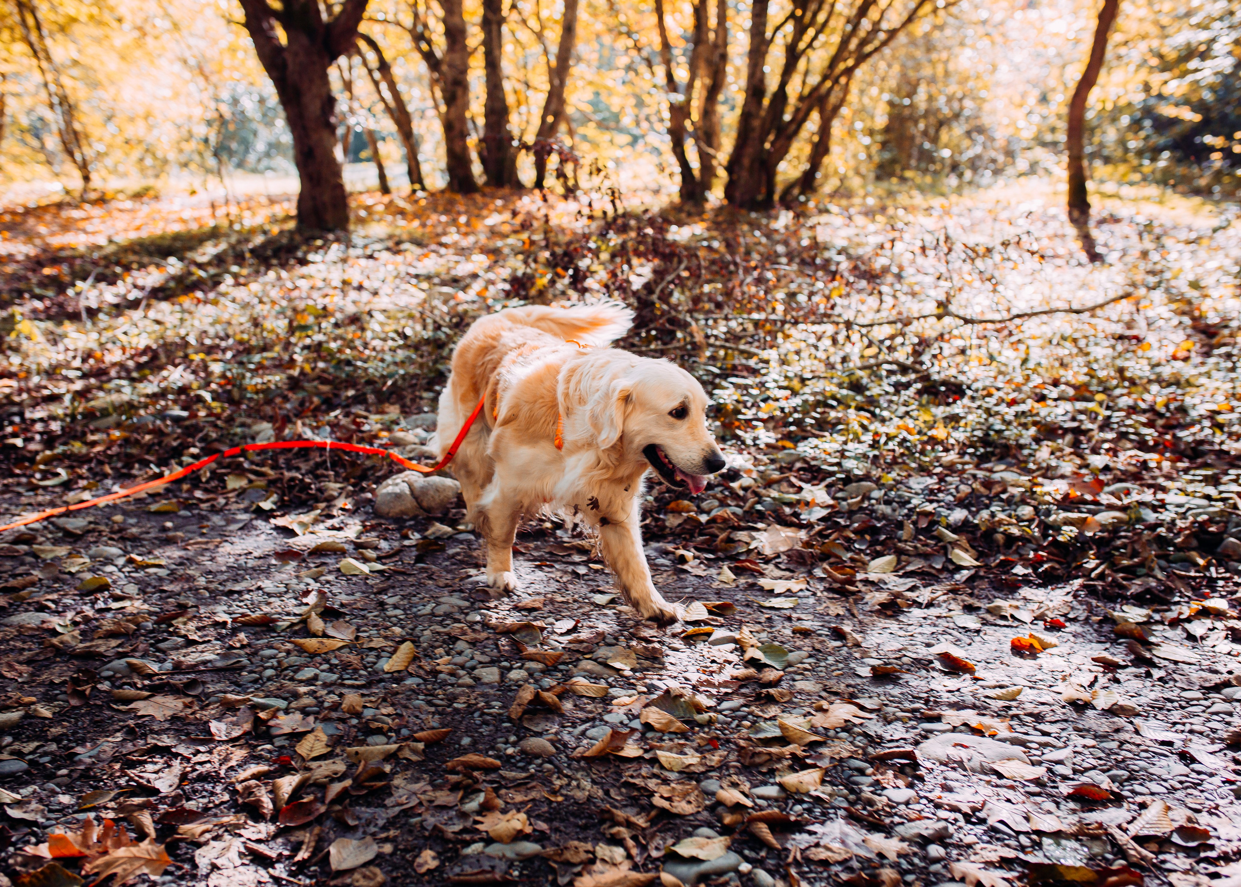 Никита и Оля. Фотограф в Приморско-Ахтарске Марьяна Чопко