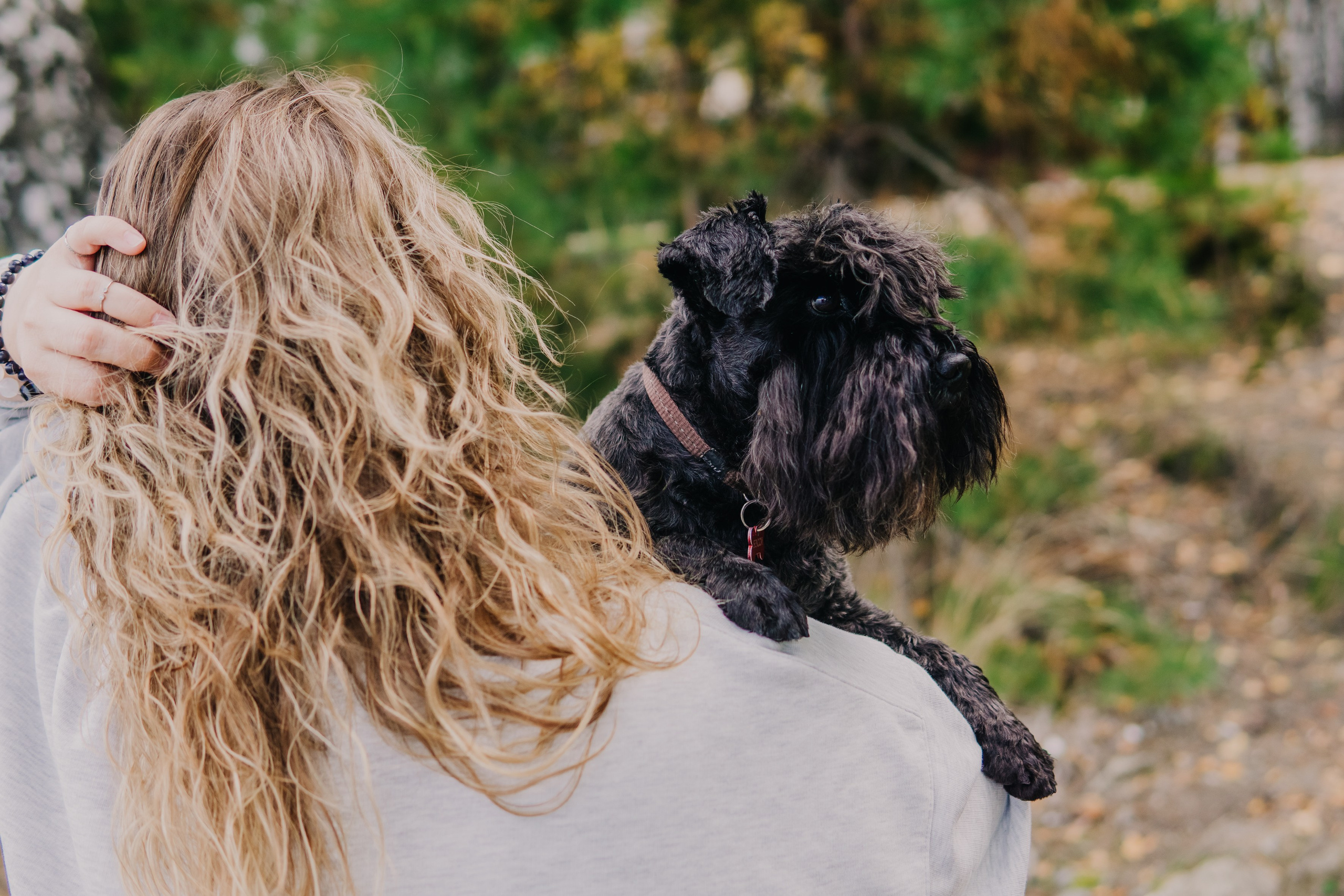 Life with dog. Saamill