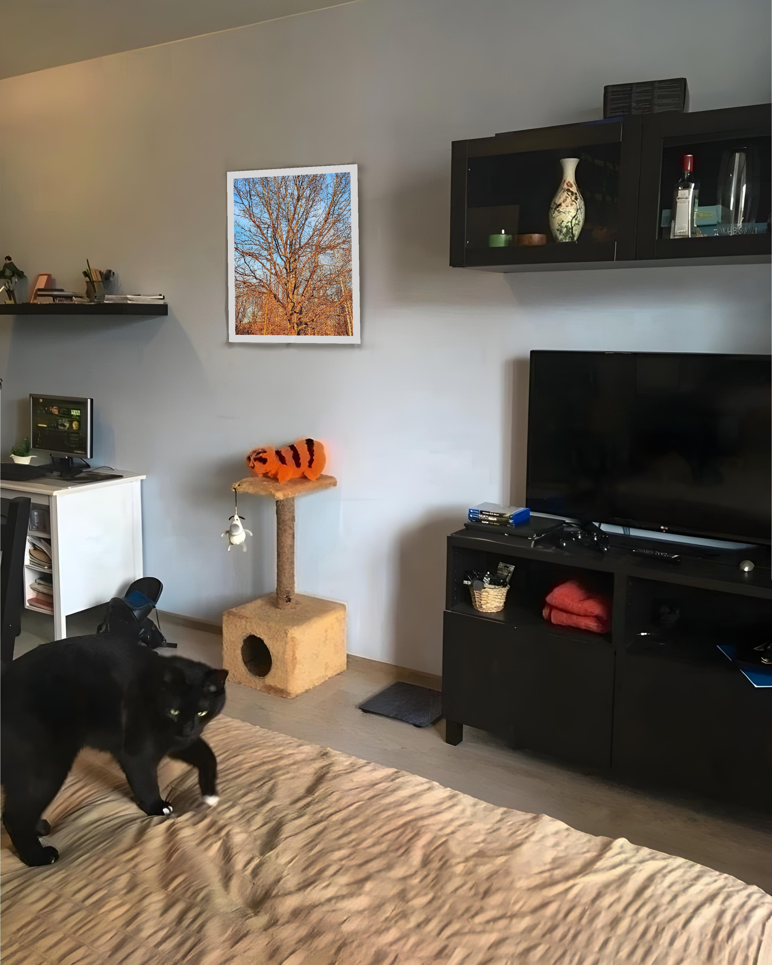 Выставка. Репортажный и портретный фотограф, Влад Хафизов, Москва