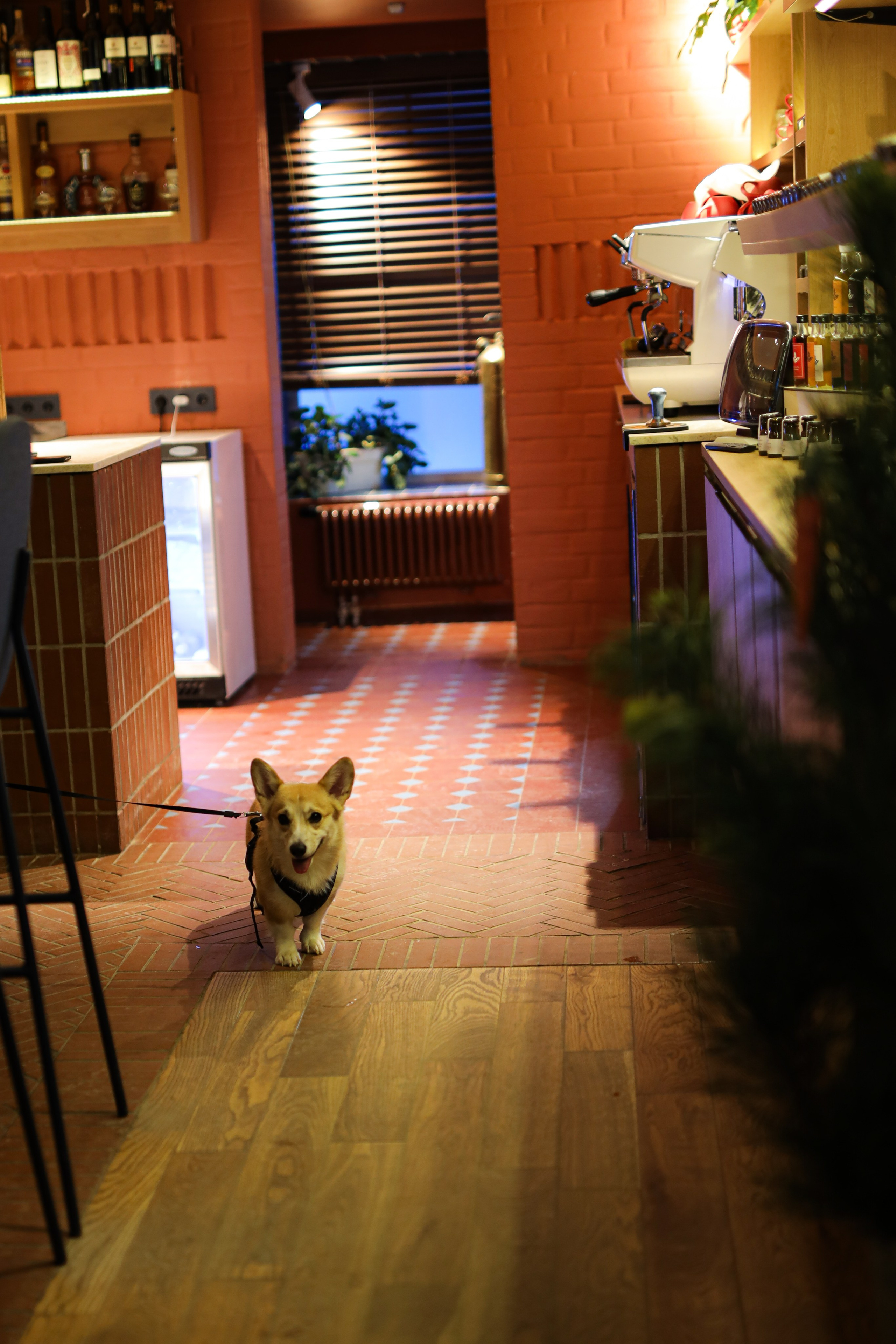 Суздаль/ ДЫМОВ КЕРАМИКА. Фотограф Артапова Алёна москва