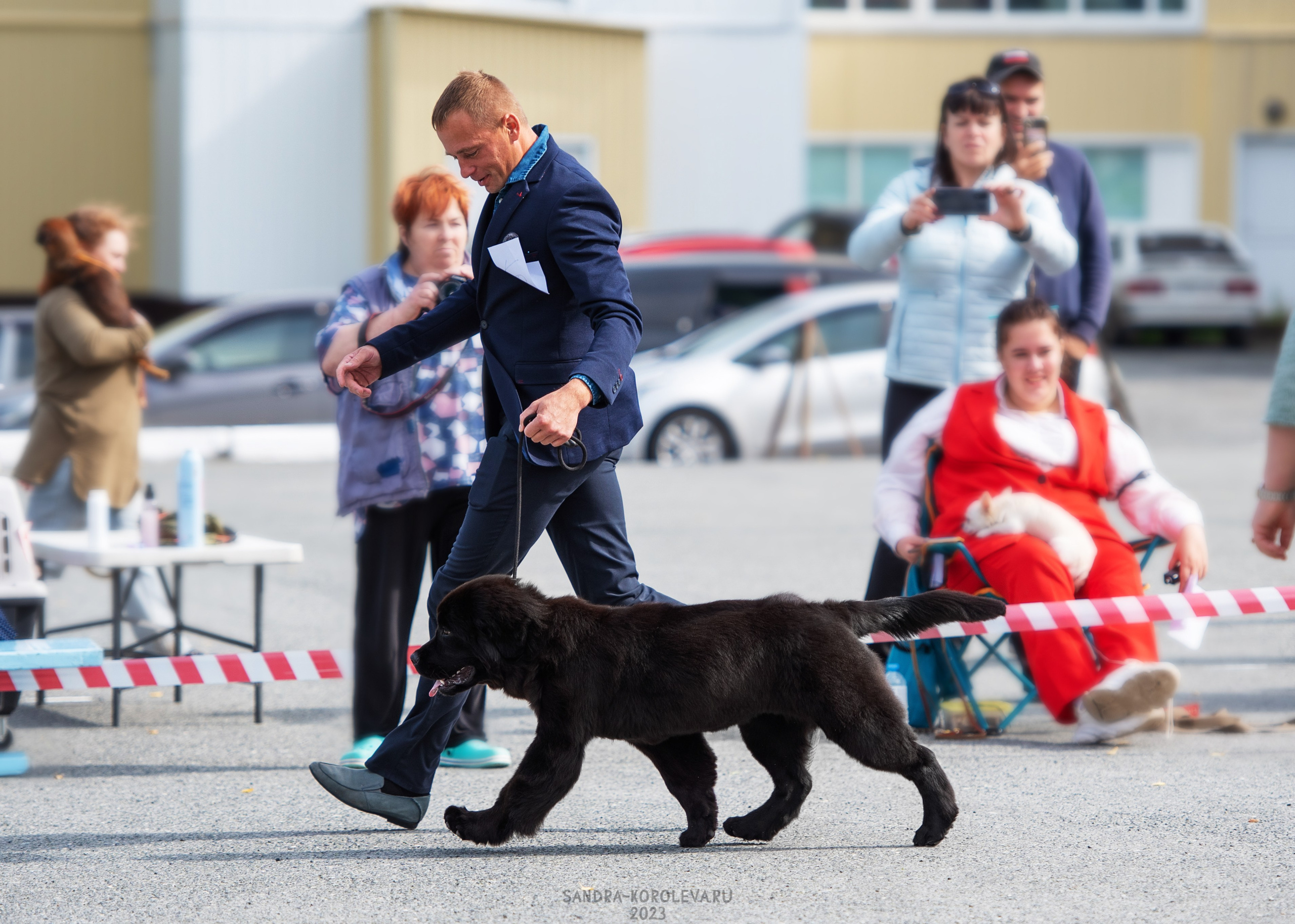 Выставка собак Тюмень 02.09.2023. Дог-фотограф в Тюмени Александра Королева