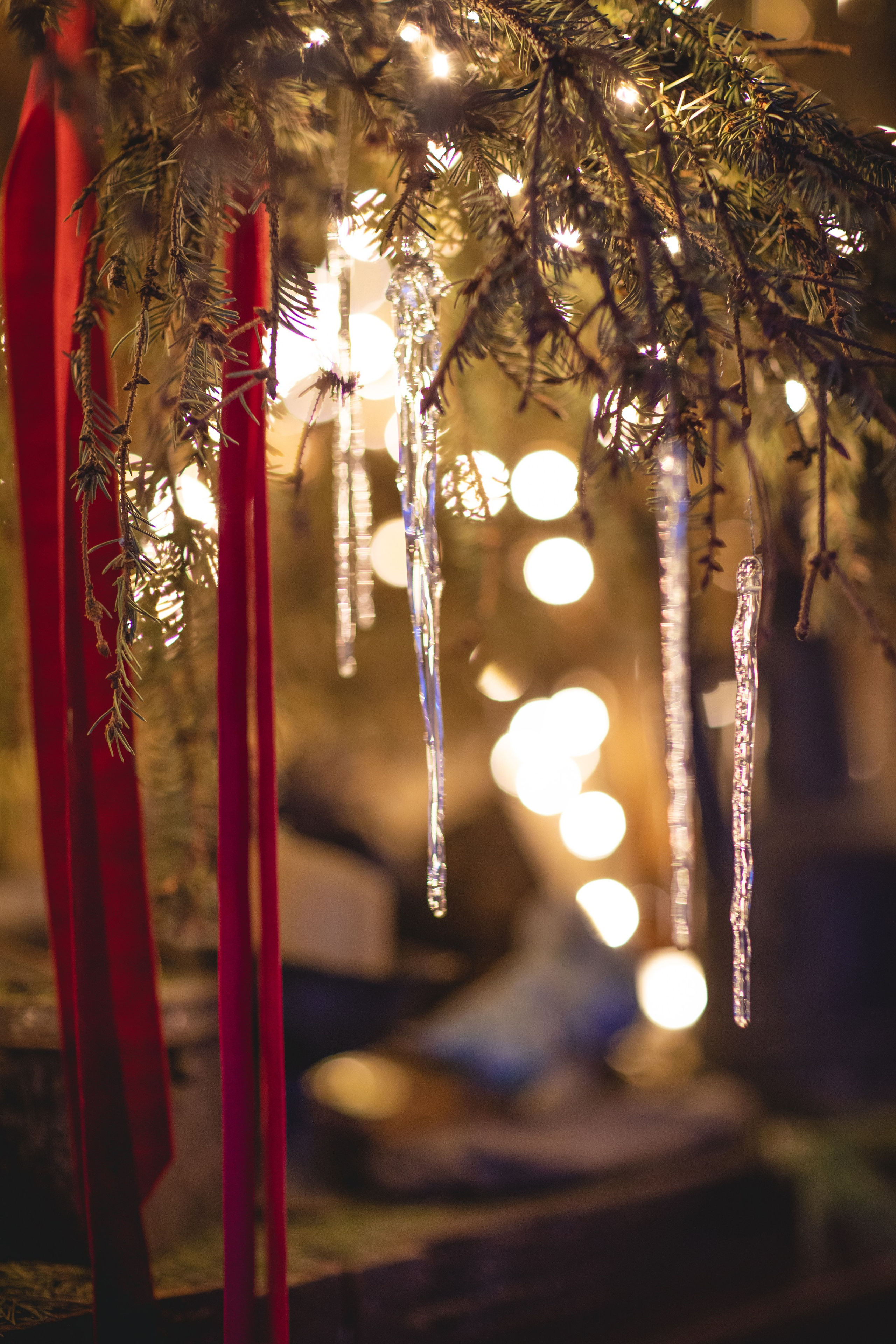 Домик в лесу. Семейный фотограф в Москве Анастасия Гурьянова