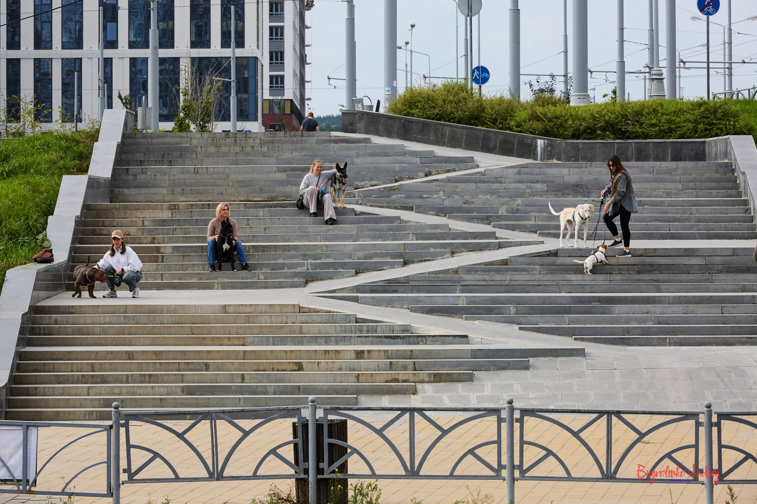 Проект фотопрогулка с хвостиком. Buyvolenko Andrey