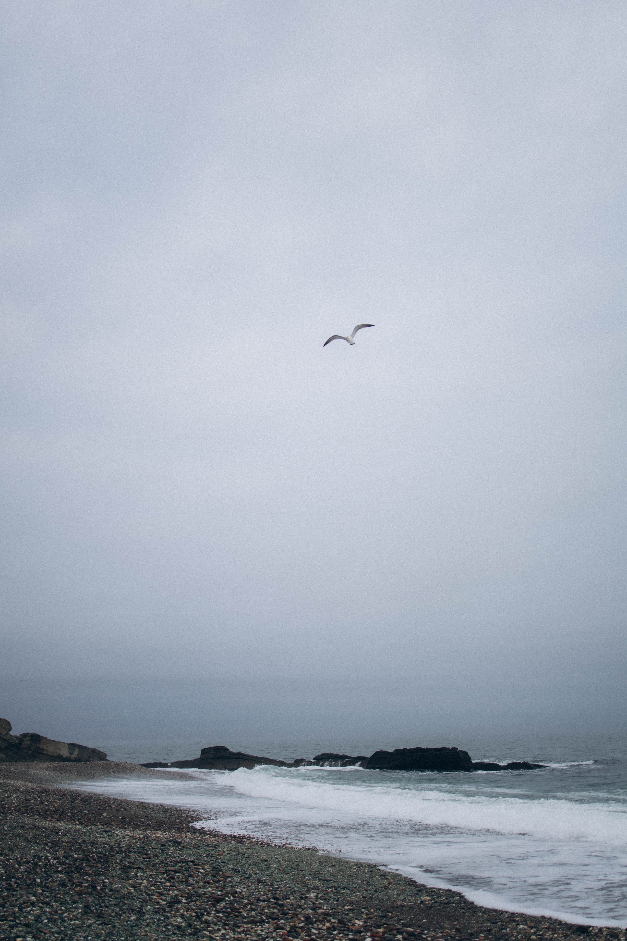 Лолита. Фотограф Виктория Куприянова