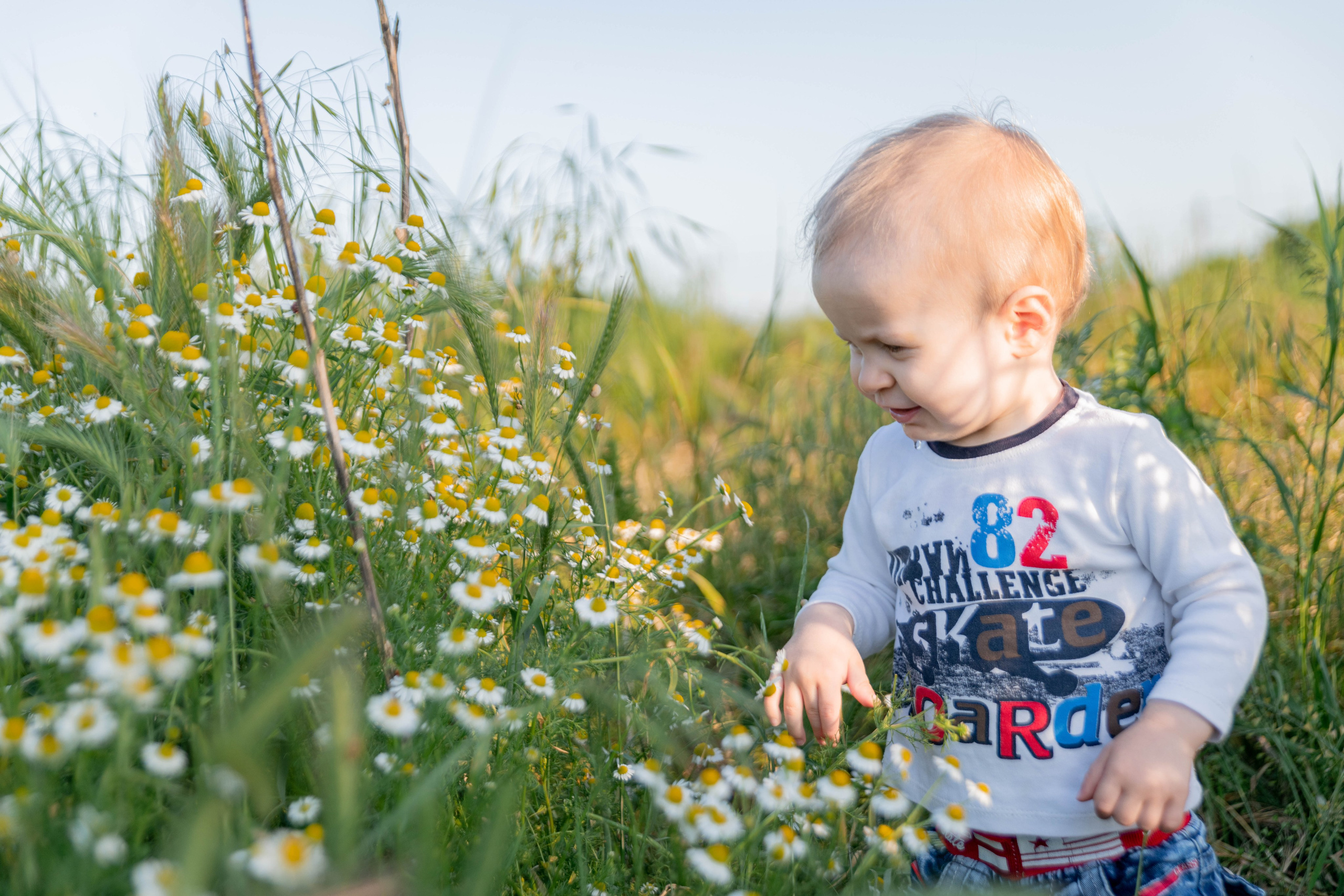 Семейная фотография. Арт студия «Пегас». Фото- и видео- съемка