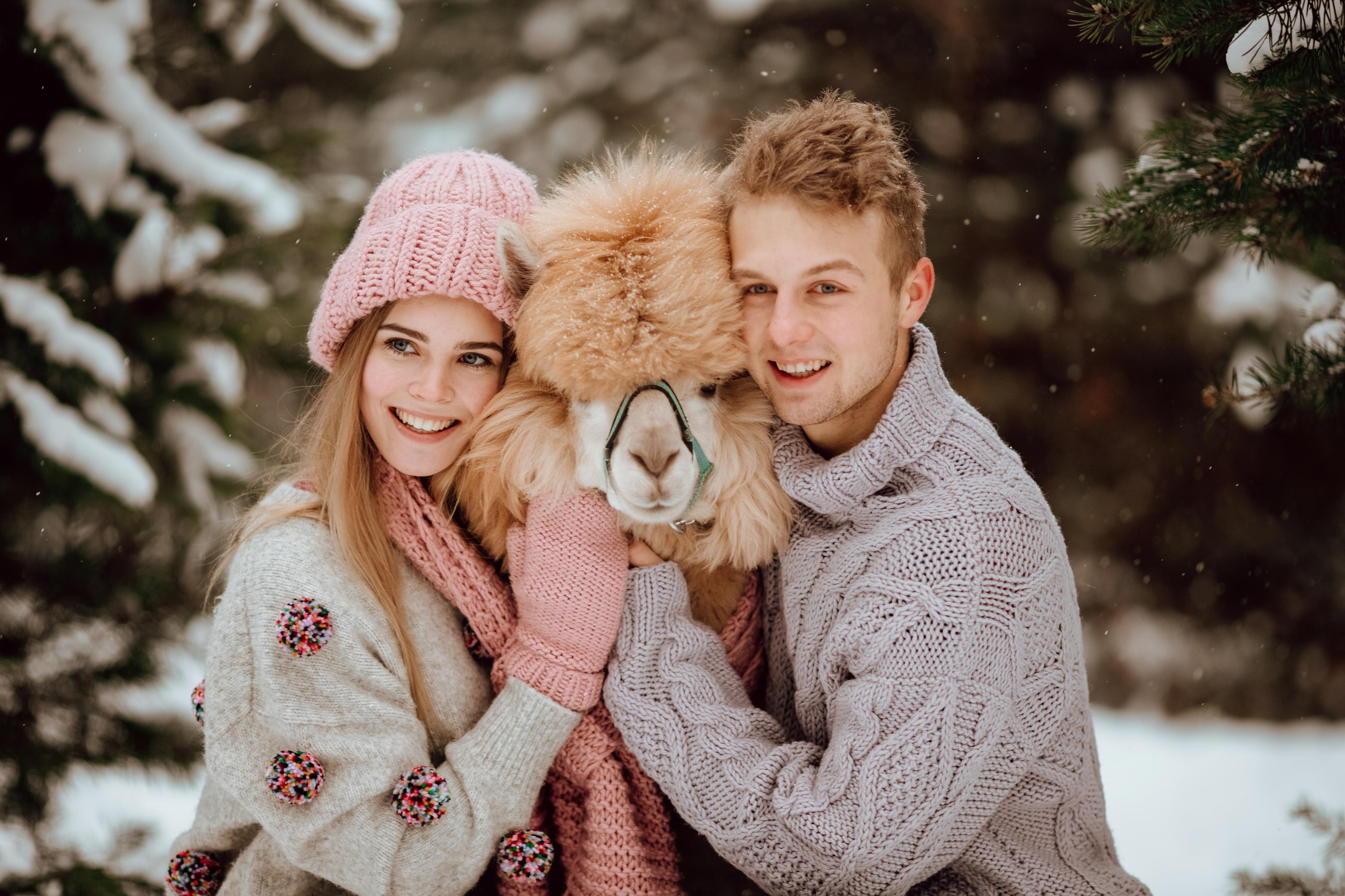 Winter wonderland. Алина Малышева, свадебный и семейный фотограф Москва