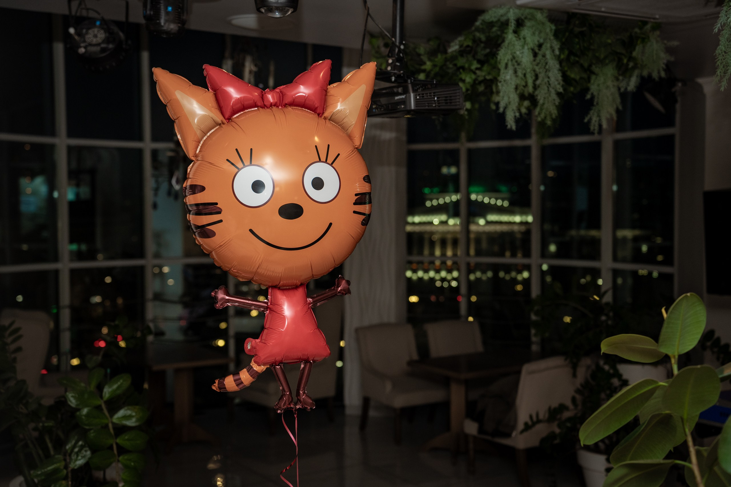 День рождения Софии