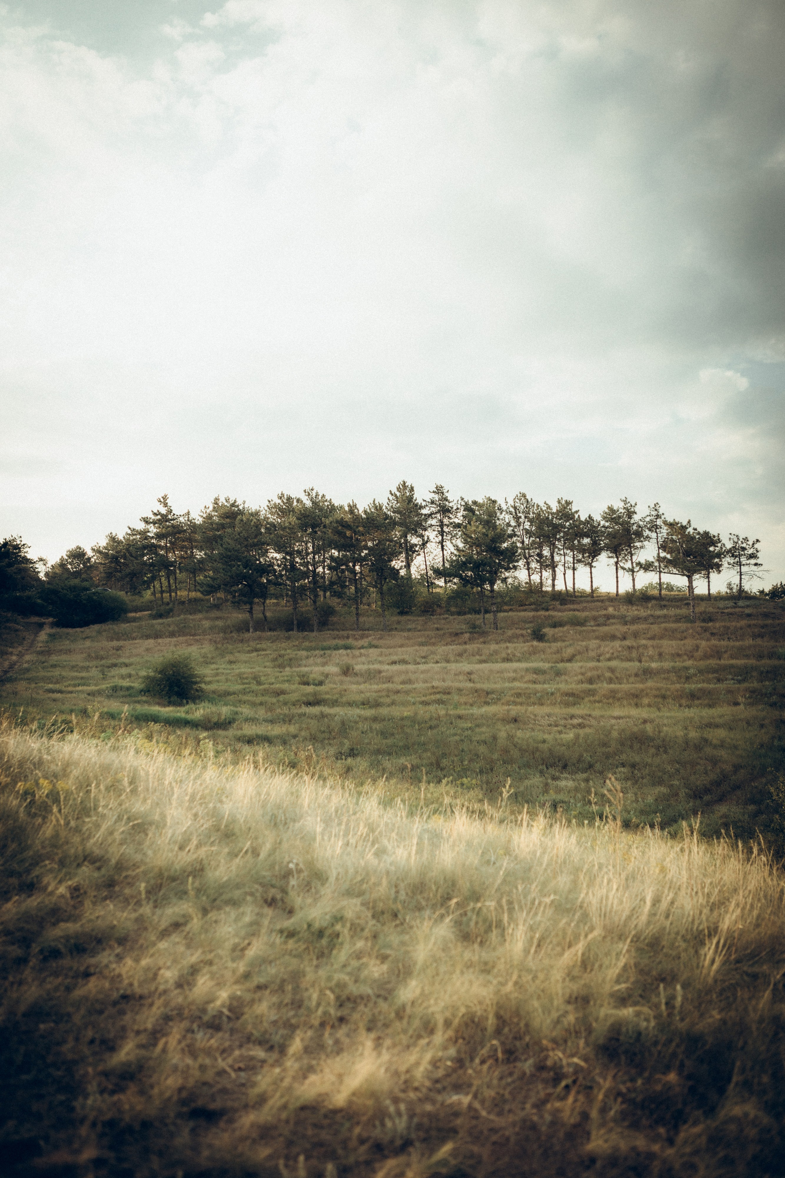 Оксана, Артем и Тимур. Семейный фотограф и фотограф на роды в Ростове-на-Дону Мухина Виктория