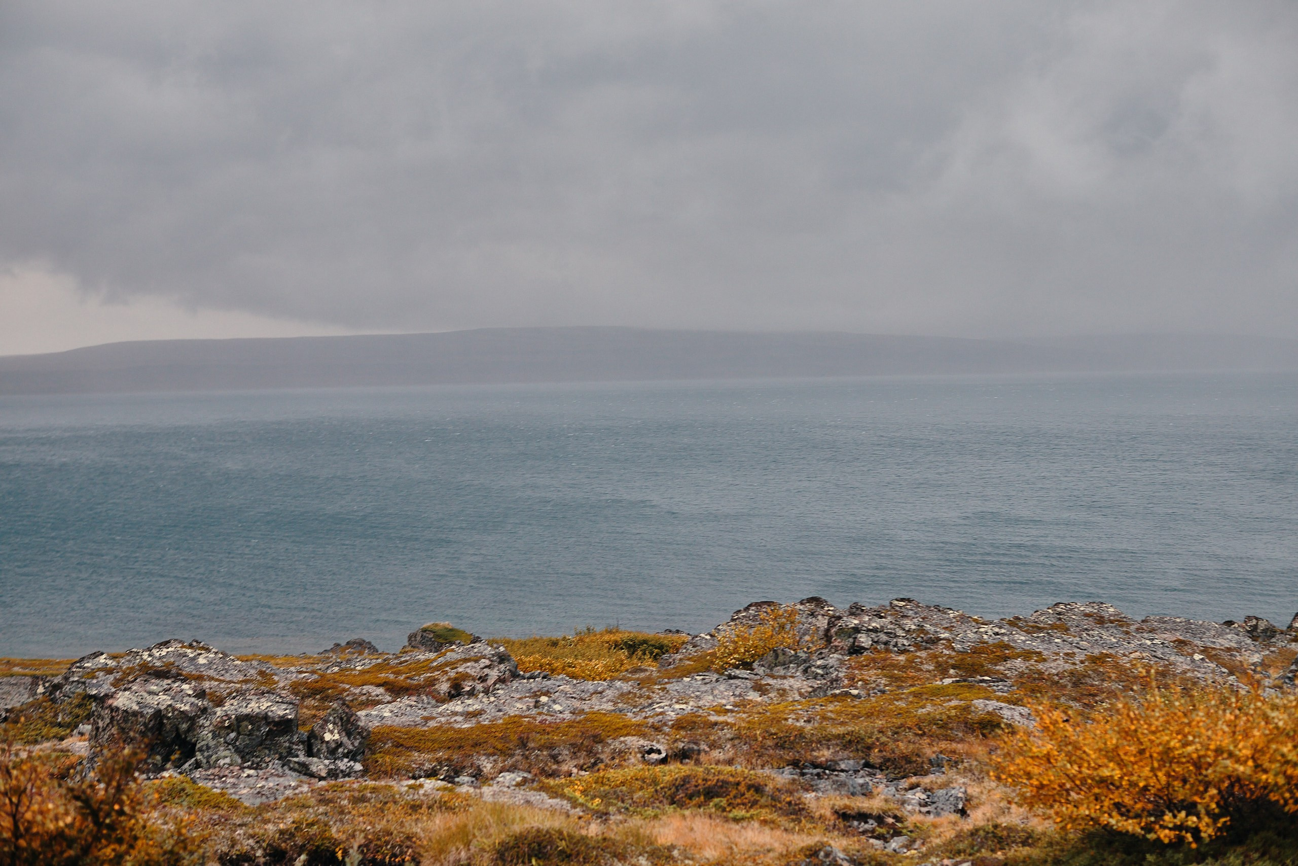 Рыбачий 2023. Место силы. Фотограф Валерий Сабрам