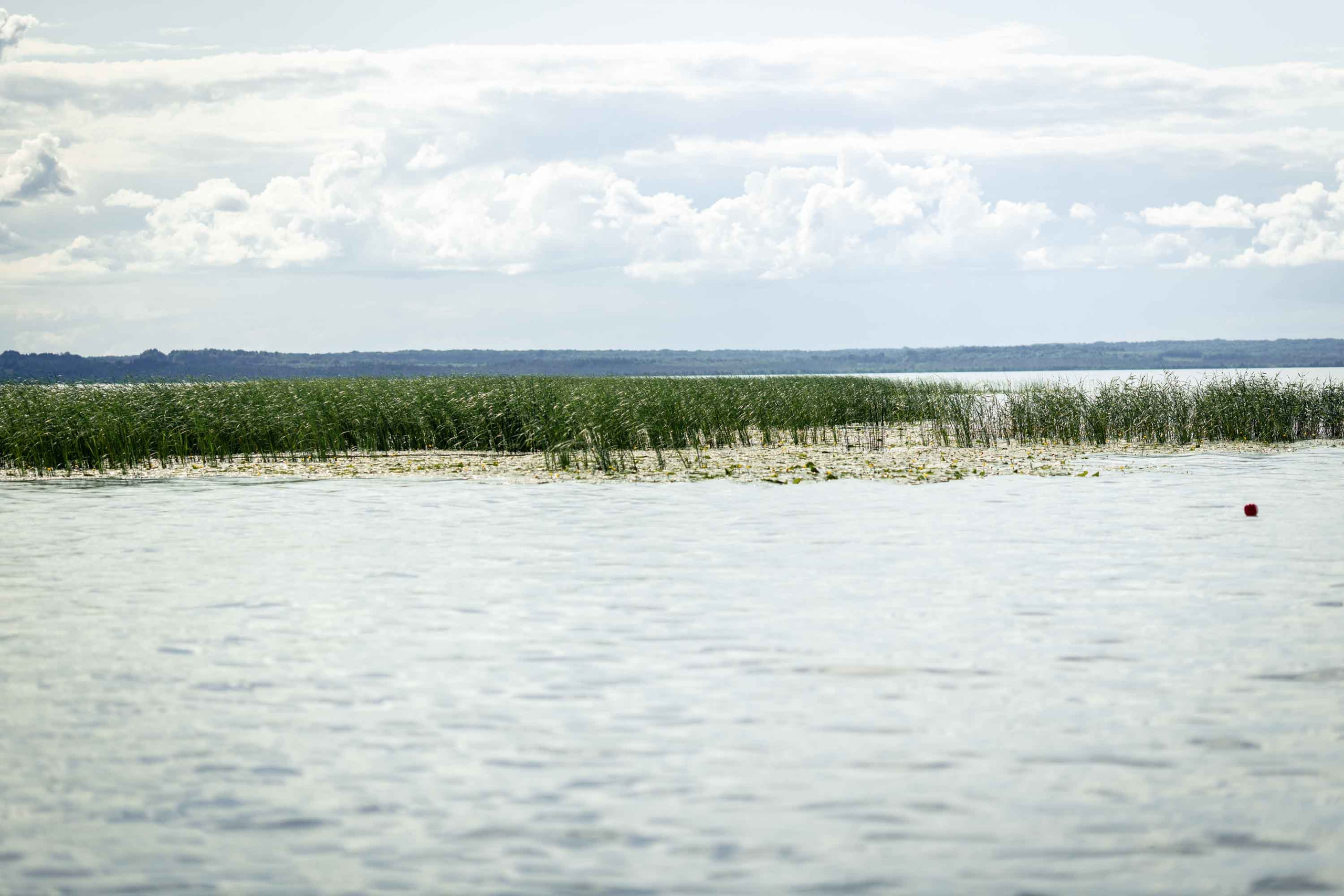 Природные пейзажи. Наталия Клевинскас портретный фотограф в Костроме