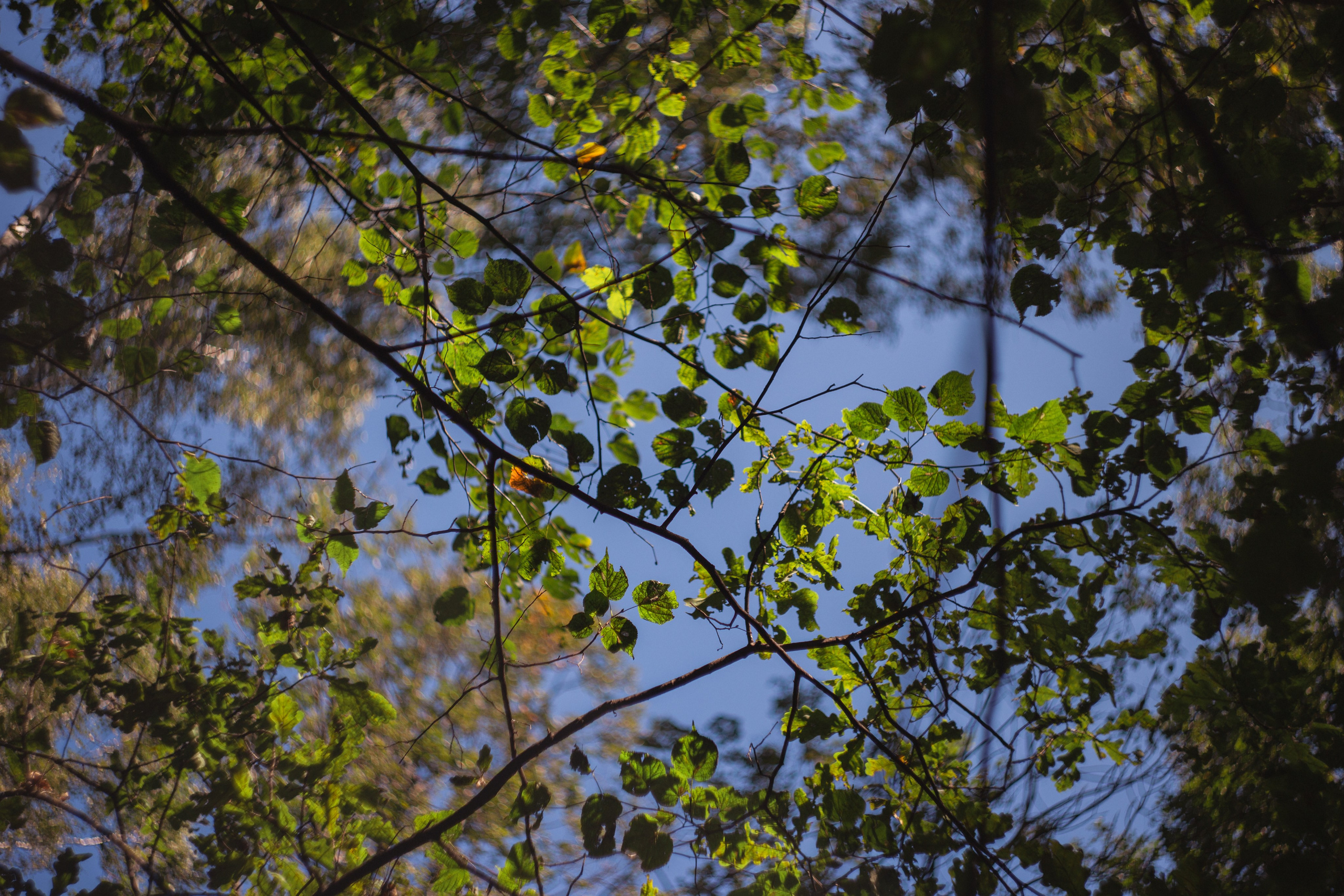 Сентябрь 2024. Efremovaphoto.ru