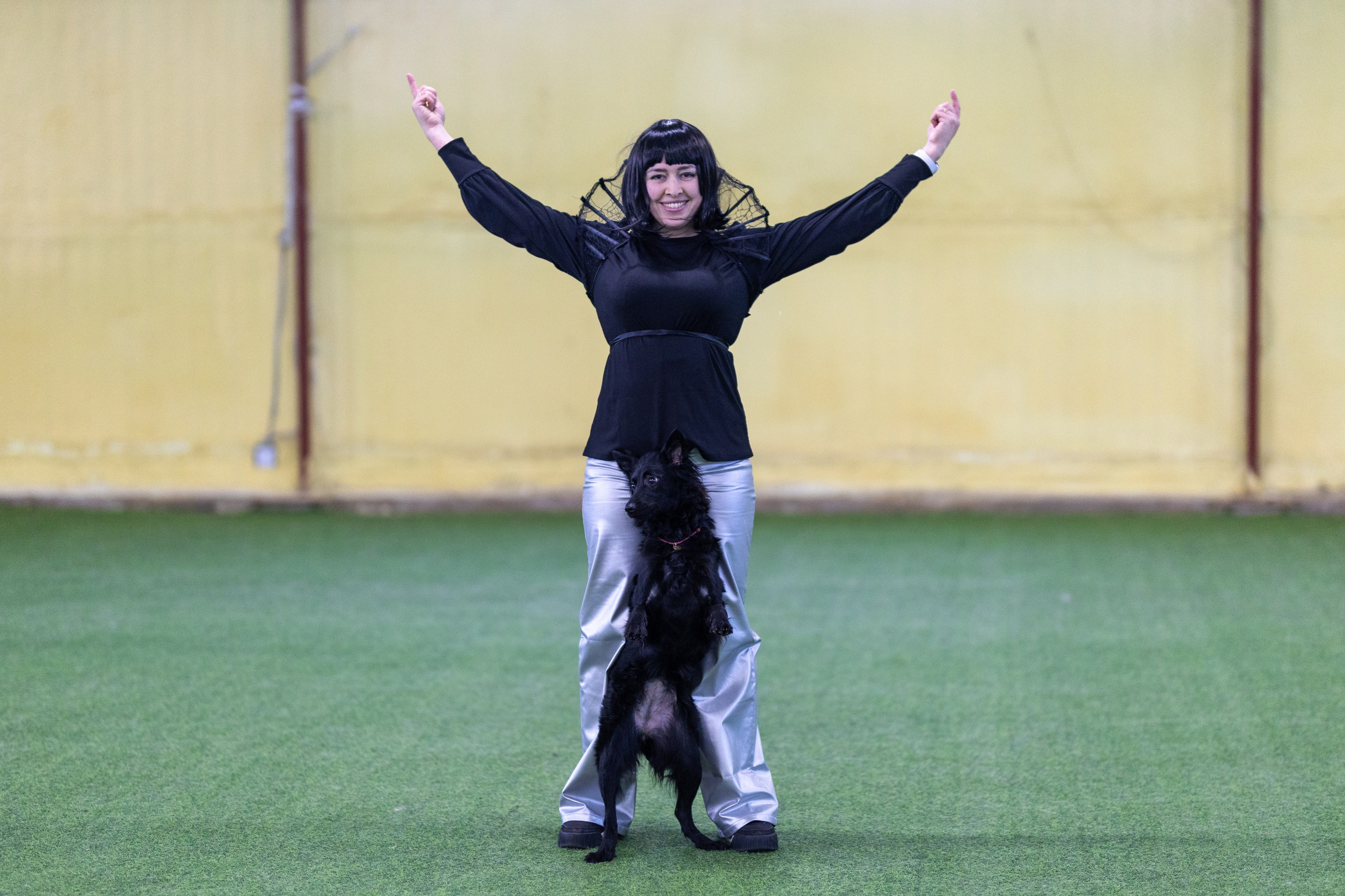 Соревнования танцы. Фотограф-анималист в Москве Кириллова Татьяна