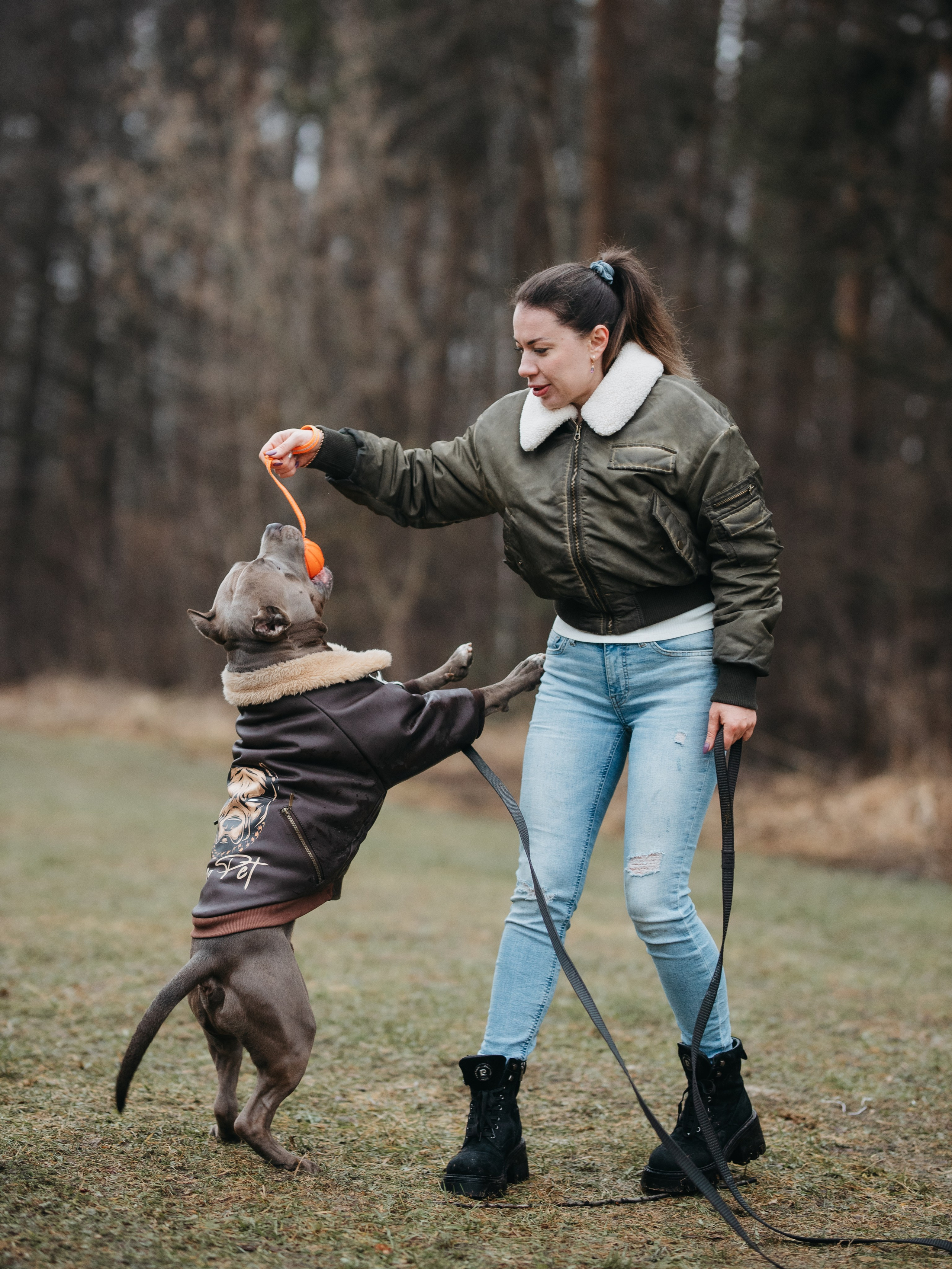 Зевс и Мария. Фотограф-анималист в Москве Кириллова Татьяна
