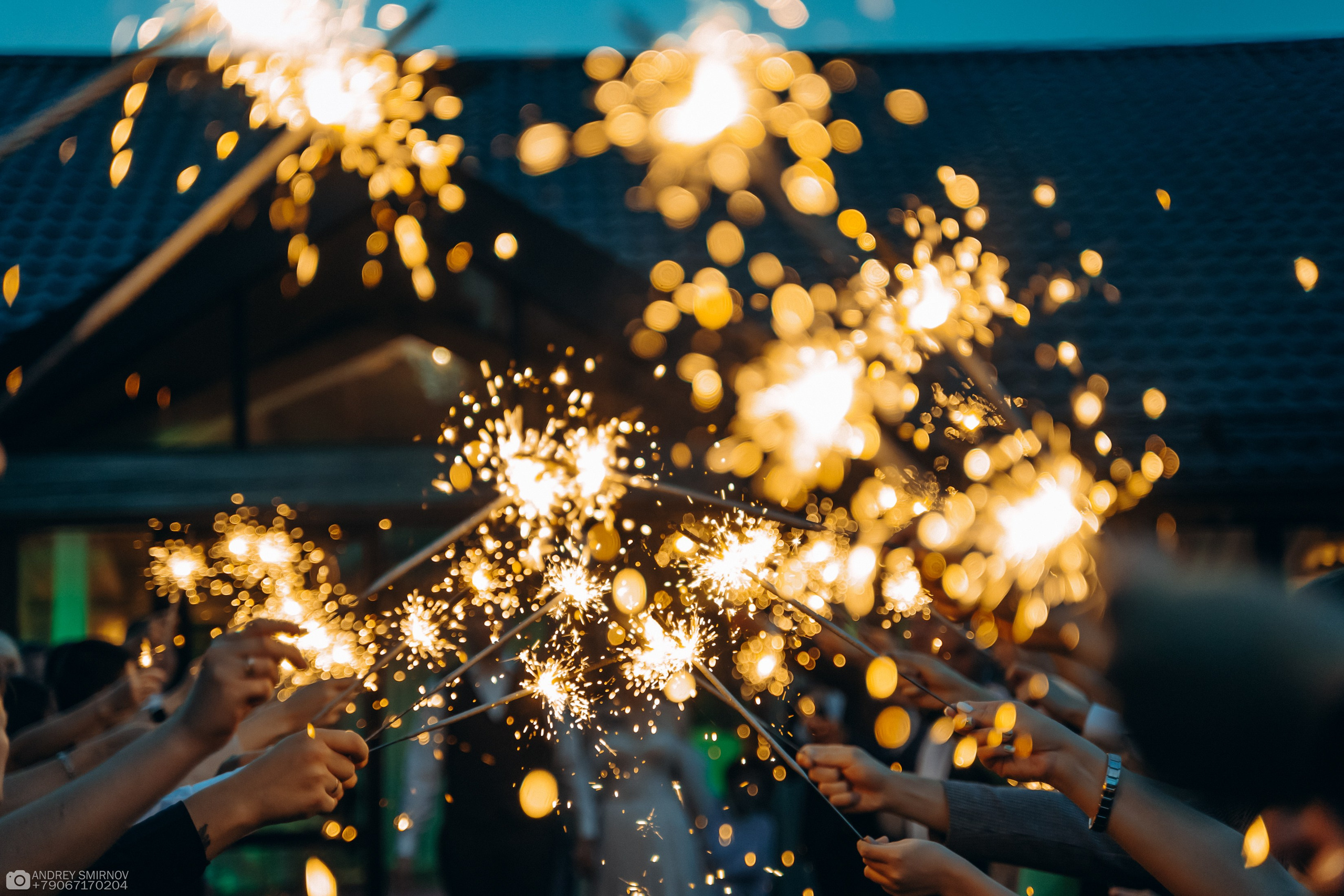 Свадьба. FOTOZ Studio / Фотовидеомейкер Андрей Смирнов